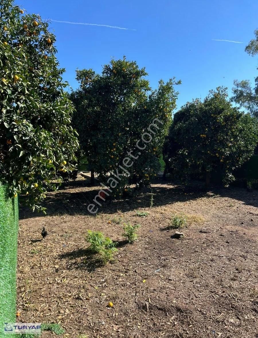 Bahtılı'da Müstakil Yaşam Kurmak İsteyenlere Kiralık Tarla - Görsel 11