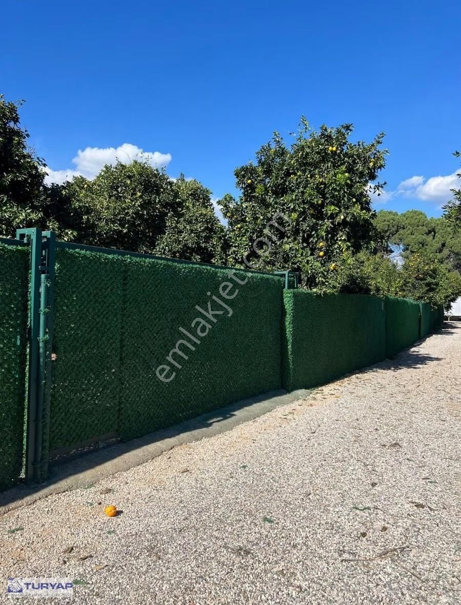 Bahtılı'da Müstakil Yaşam Kurmak İsteyenlere Kiralık Tarla