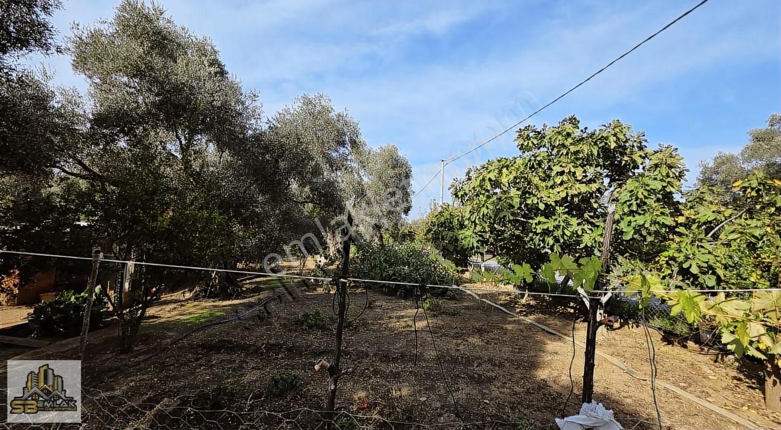 İzmir Tire Sb Emlak Ofisinden Kürdüllü Mahallesinde Tarla (hobi Bahçesi) - Görsel 15