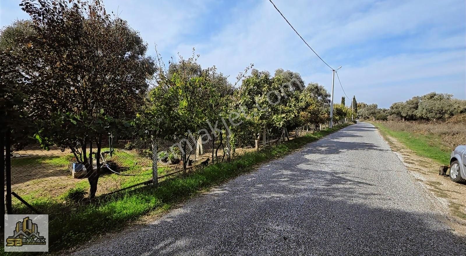 İzmir Tire Sb Emlak Ofisinden Kürdüllü Mahallesinde Tarla (hobi Bahçesi) - Görsel 2