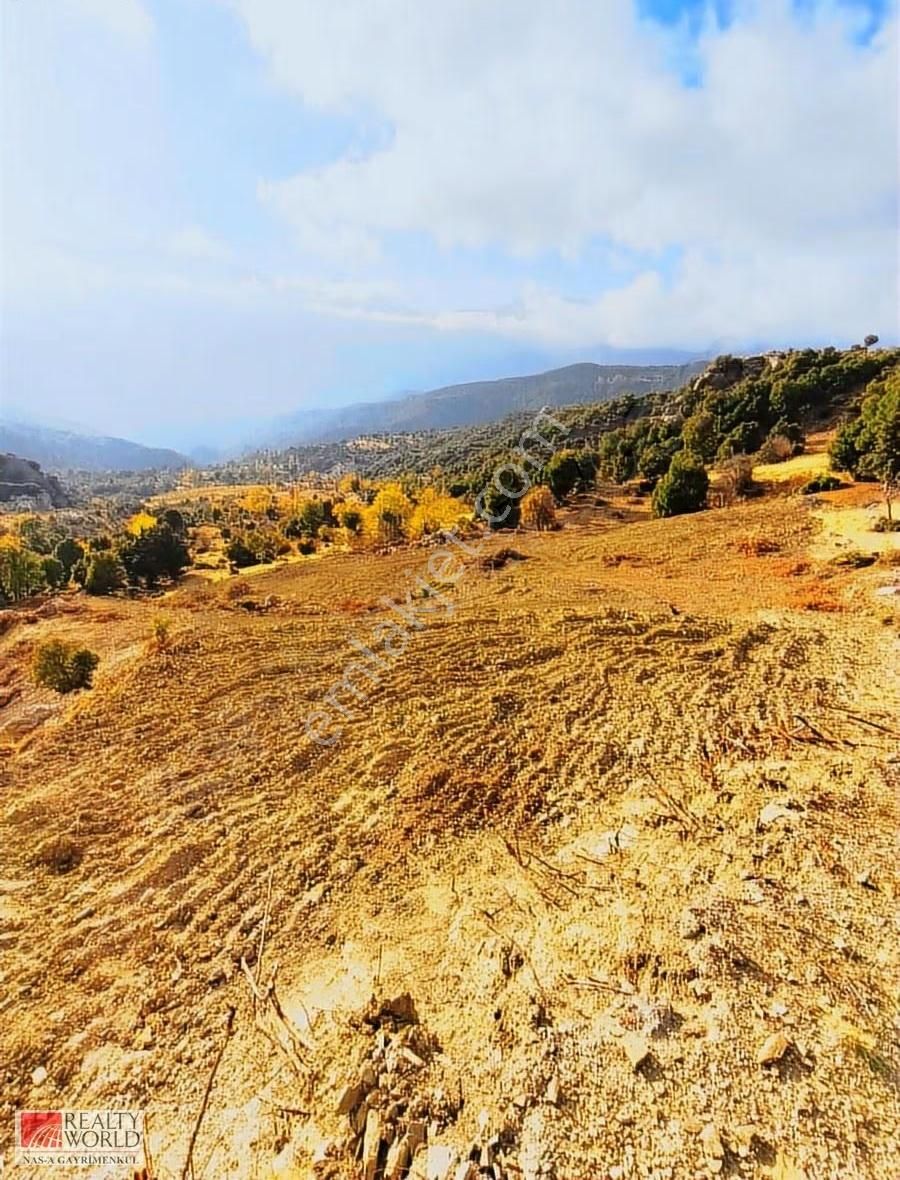 Antalya'da 9 Dönüm Satılık Tarla - Görsel 4