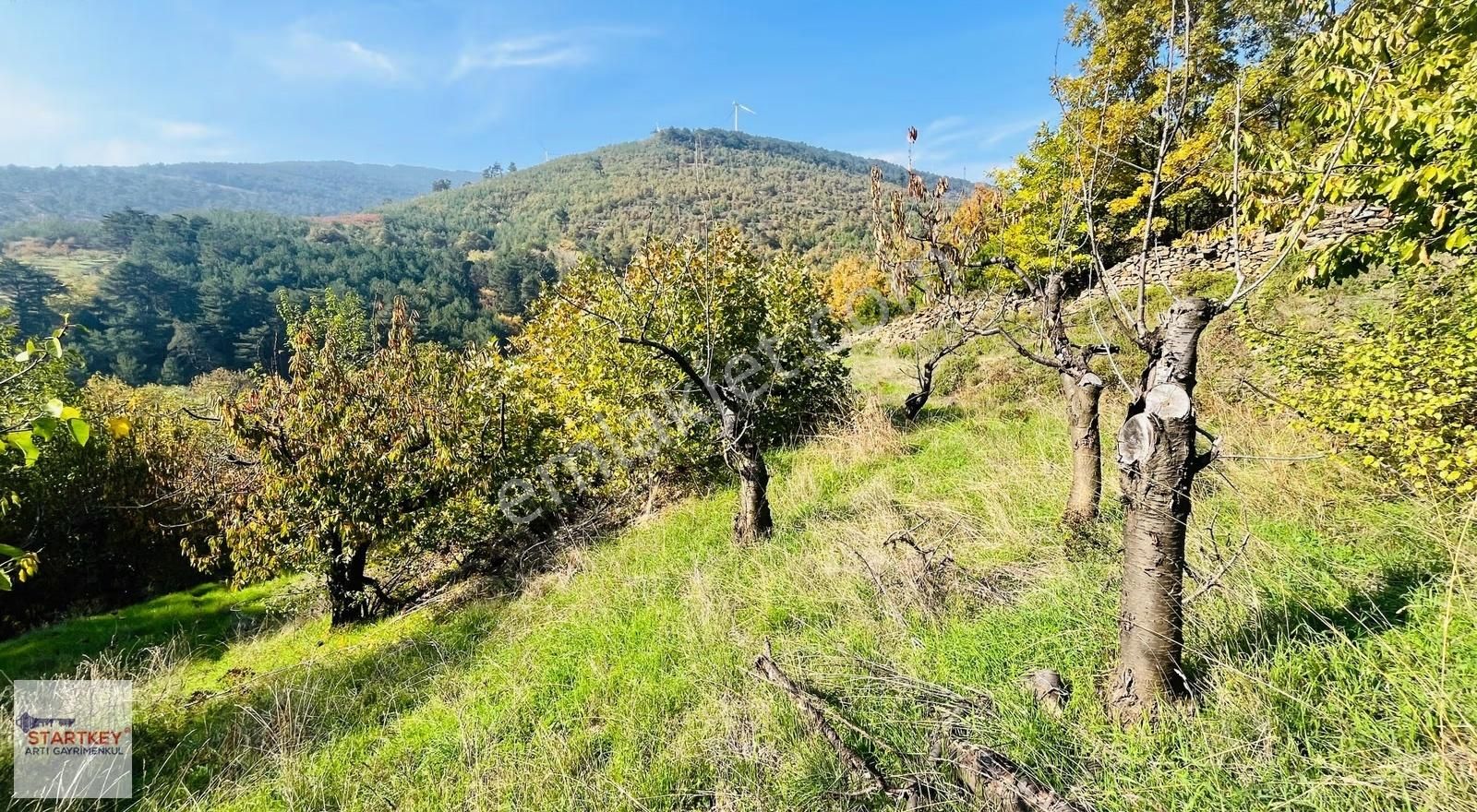 Kemalpaşa Bayramlı Mahallesinde 1.525 M2 Satılık Bahçe - Görsel 10