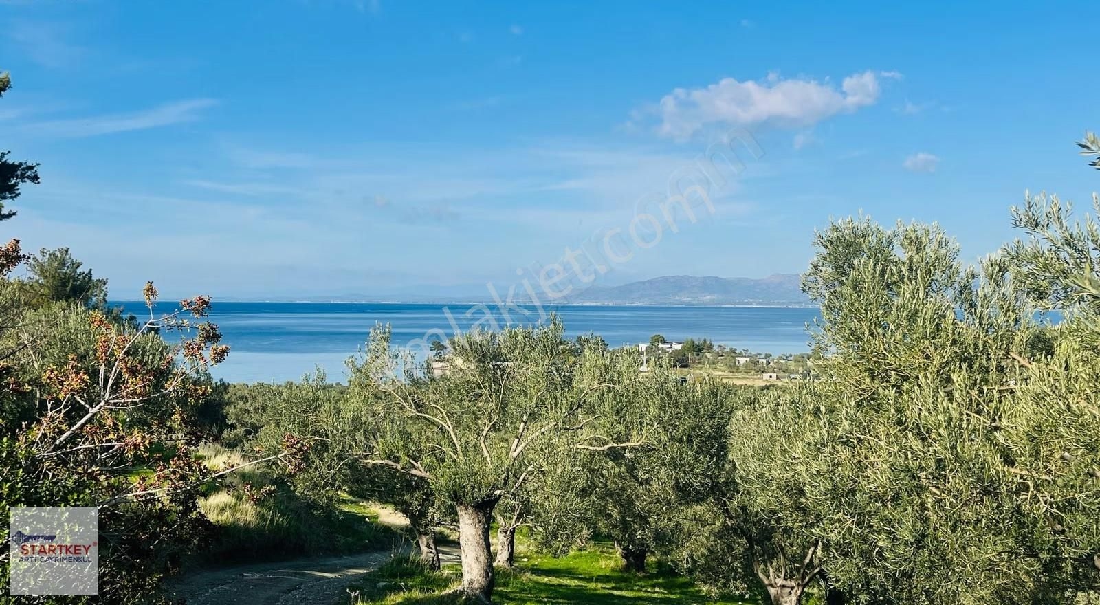 Dikili Bademli Mahallesinde Fırsat Konumda Satılık Tarla - Görsel 2