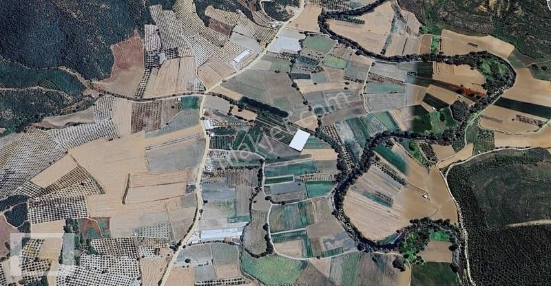 Mudanya Evciler'de Kaçmaz Yakın Geleceğin Yatırımı Satılık Tarla - Görsel 7