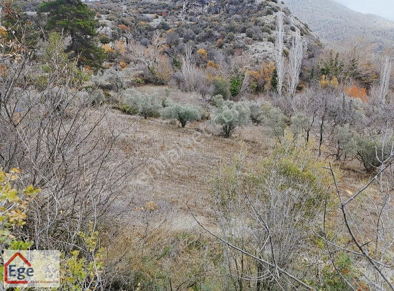 Ege Emlaktan Muğla Menteşe Göktepede Satılık Tarla - Görsel 8