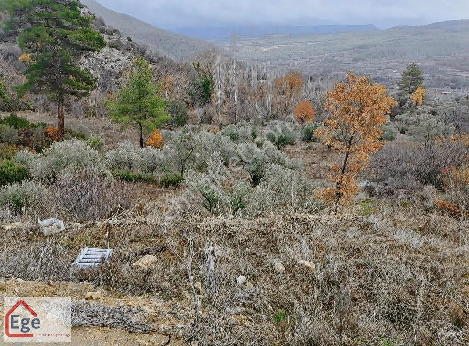 Ege Emlaktan Muğla Menteşe Göktepede Satılık Tarla - Görsel 19