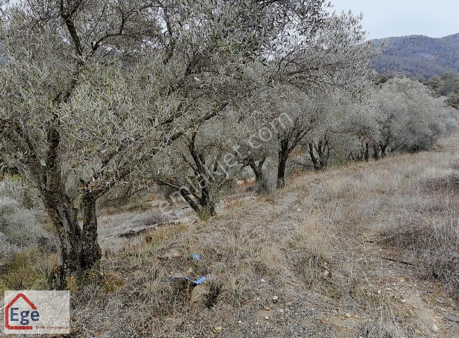 Ege Emlaktan Muğla Menteşe Göktepede Satılık Tarla - Görsel 22