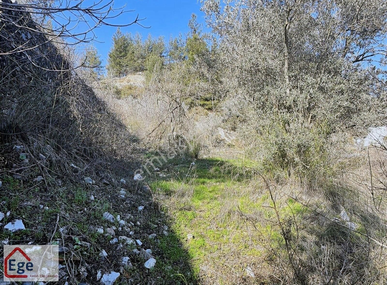 Ege Emlaktan Gökova Sarayyanında Satılık Arsa - Görsel 16