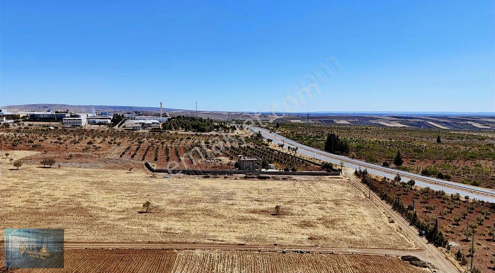 Kilis Liva Gayrimenkul'den Antep Yolu Üzerinde Satılık Arazi - Görsel 12