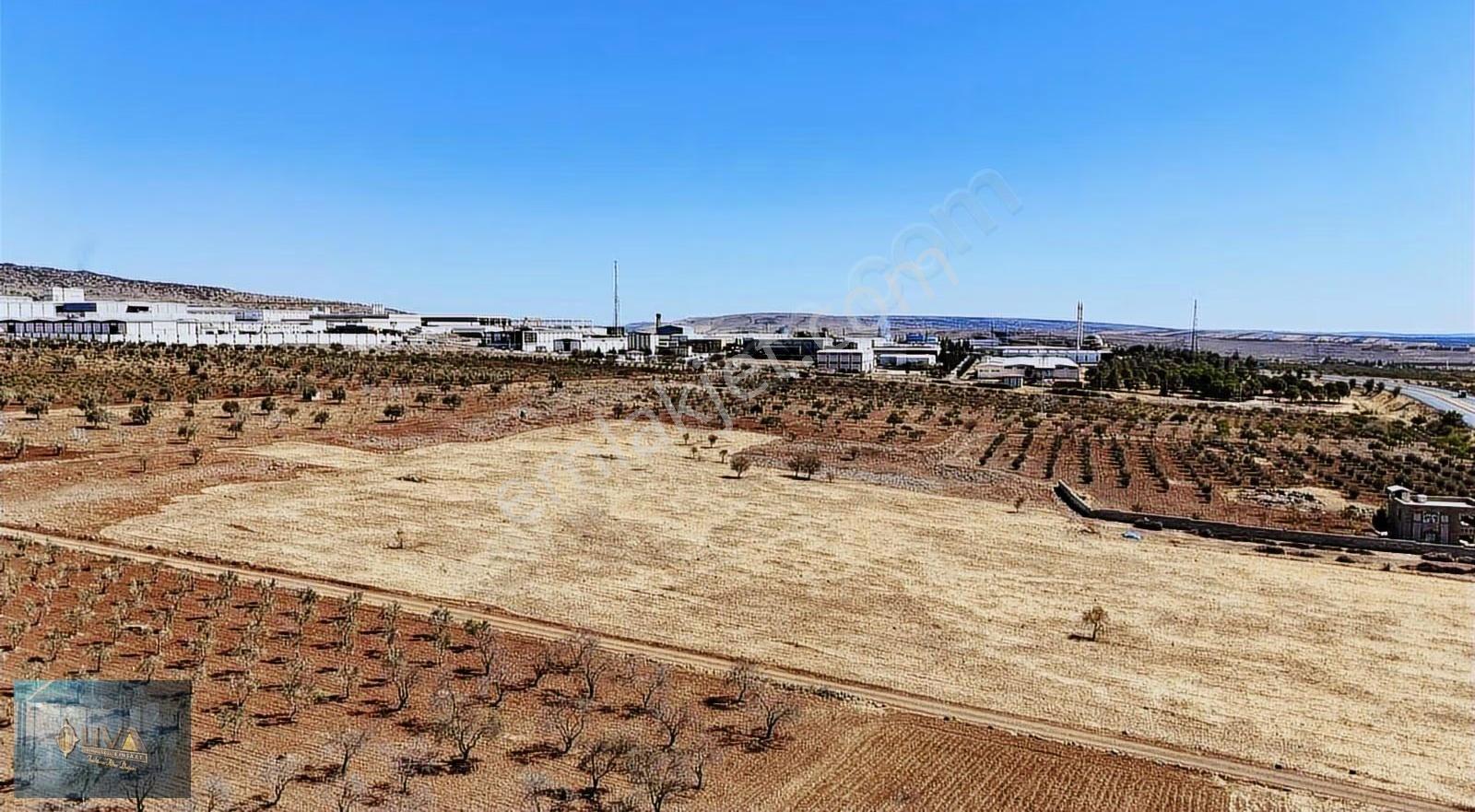 Kilis Liva Gayrimenkul'den Antep Yolu Üzerinde Satılık Arazi - Görsel 25