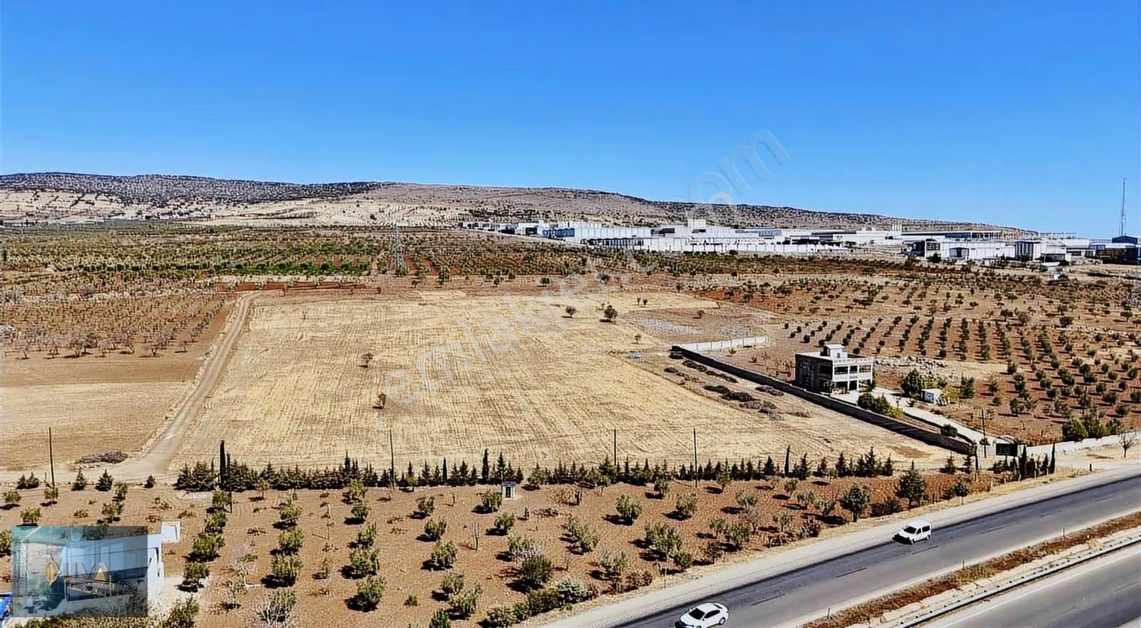 Kilis Liva Gayrimenkul'den Antep Yolu Üzerinde Satılık Arazi - Görsel 8