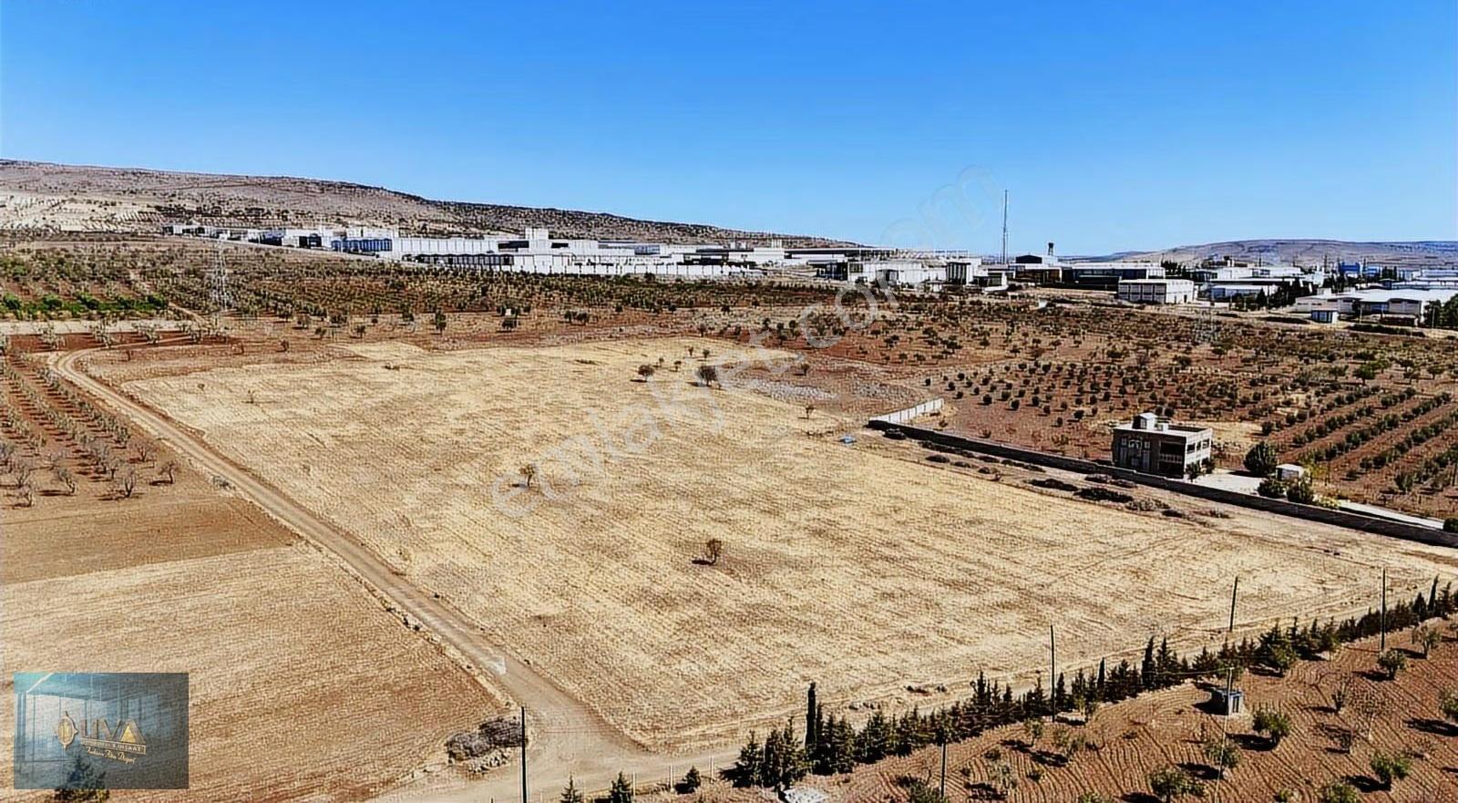 Kilis Liva Gayrimenkul'den Antep Yolu Üzerinde Satılık Arazi - Görsel 19