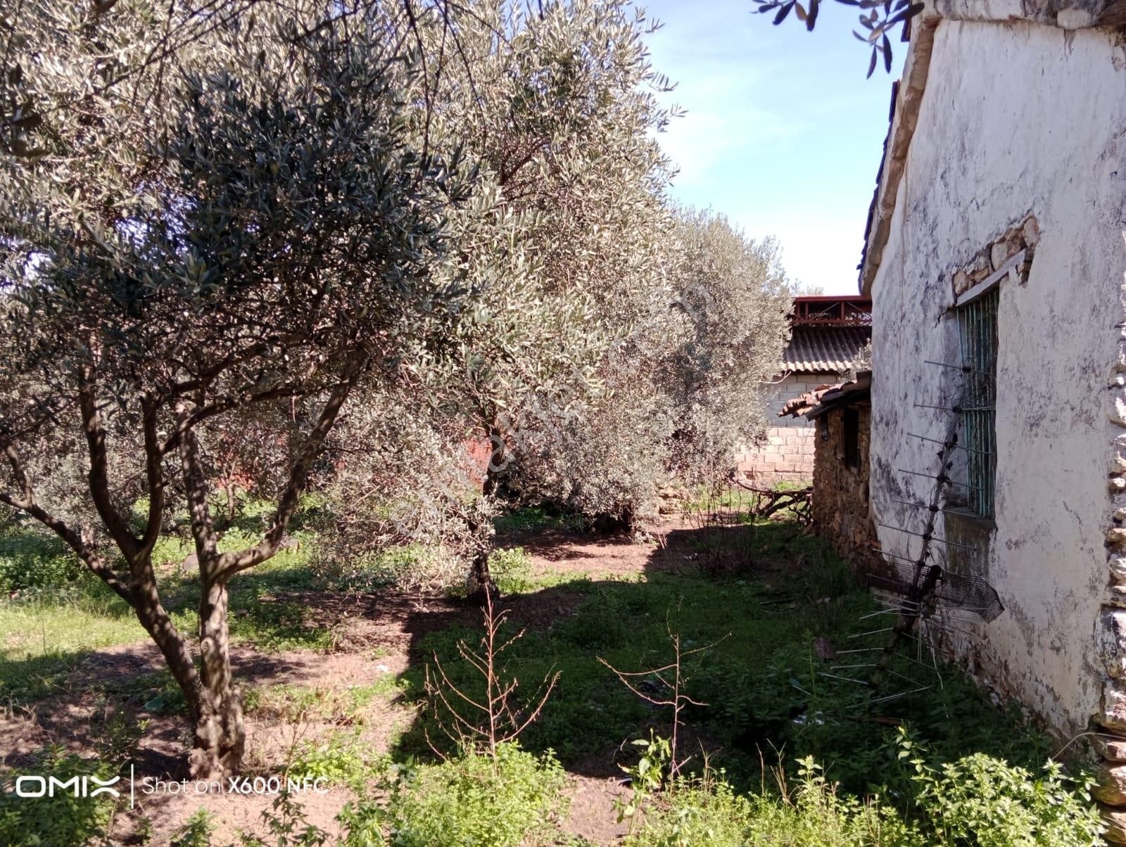 Aydın Nazilli Yazırlı Mahallesinde Satılık Köy Evi - Görsel 7