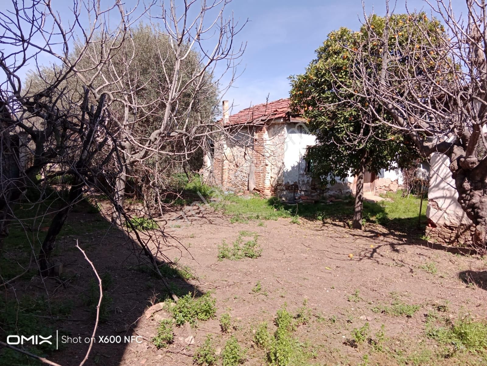 Aydın Nazilli Yazırlı Mahallesinde Satılık Köy Evi
