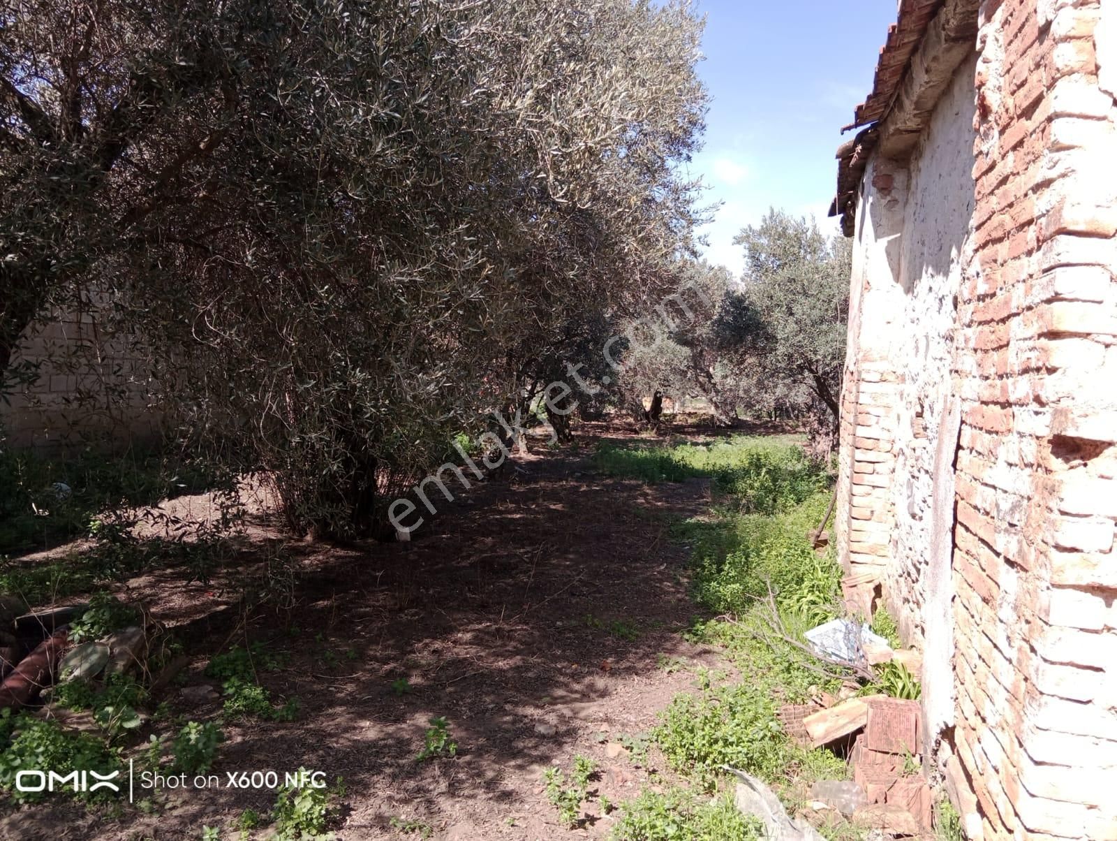 Aydın Nazilli Yazırlı Mahallesinde Satılık Köy Evi - Görsel 13