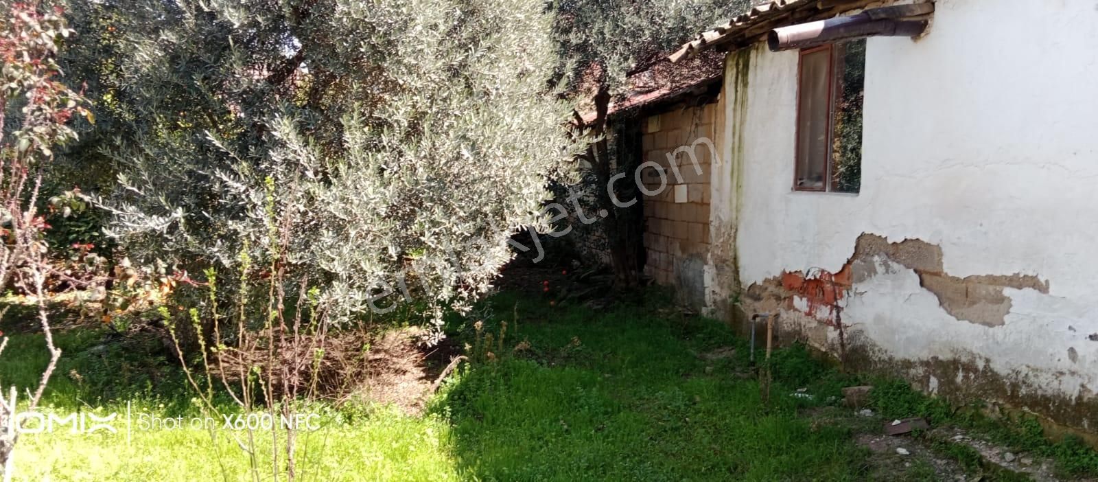 Aydın Nazilli Yazırlı Mahallesinde Satılık Köy Evi - Görsel 16