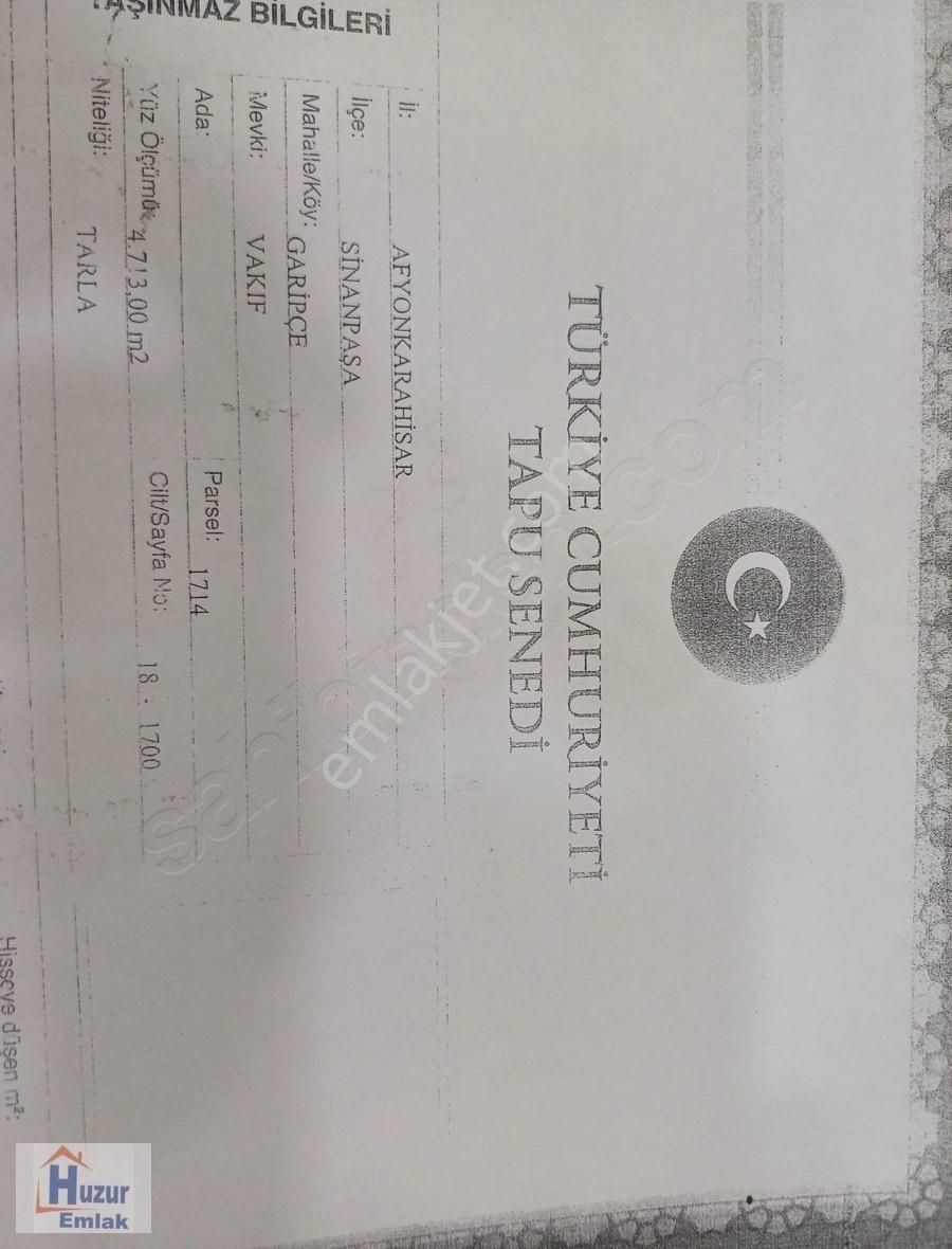 Afyon Merkez Sinanpaşa Garipçe Köyünde Satılık Tarla..! - Görsel 4