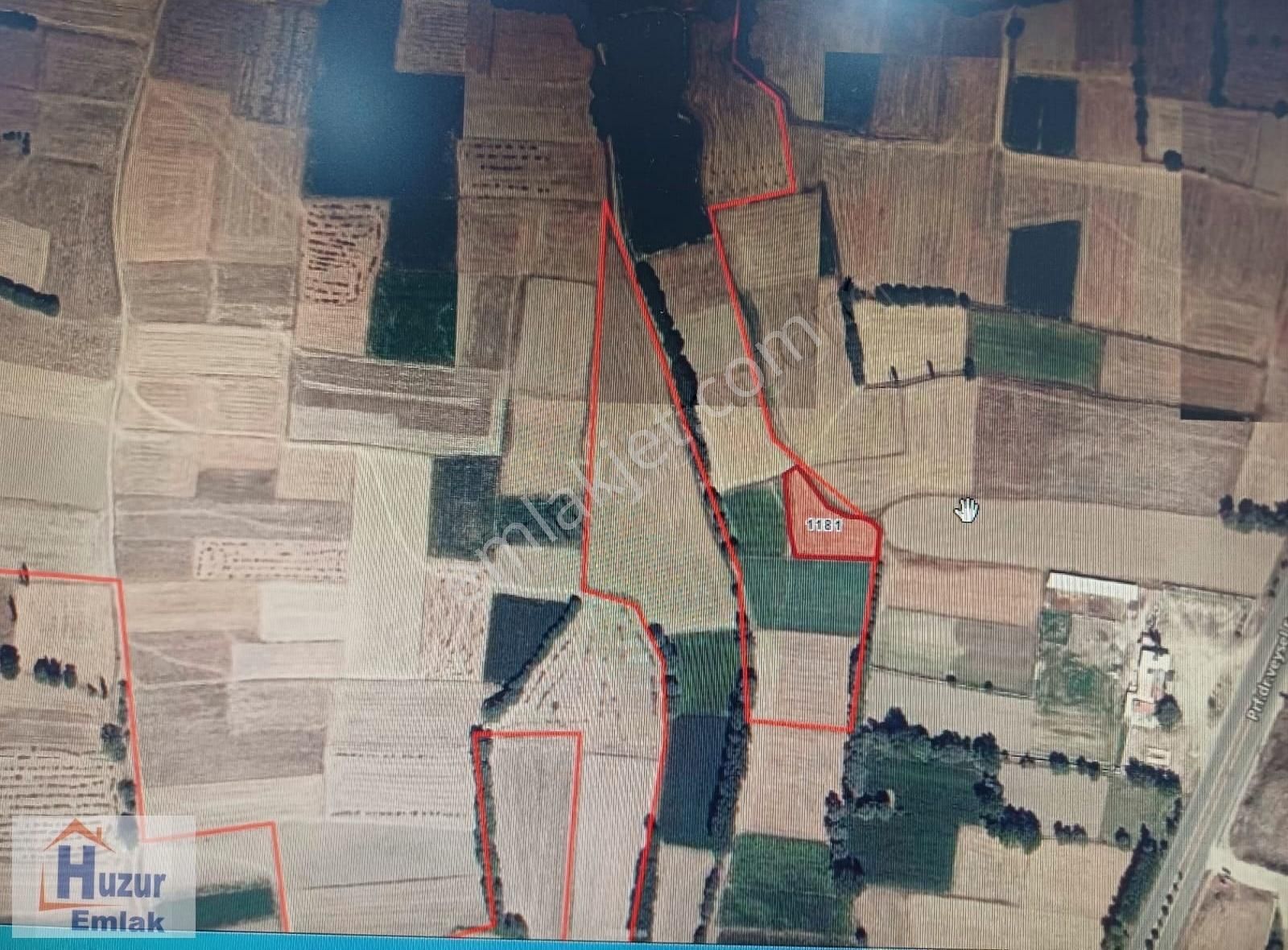 Afyon Merkez Sinanpaşa Garipçe Köyünde Satılık Tarla..! - Görsel 3