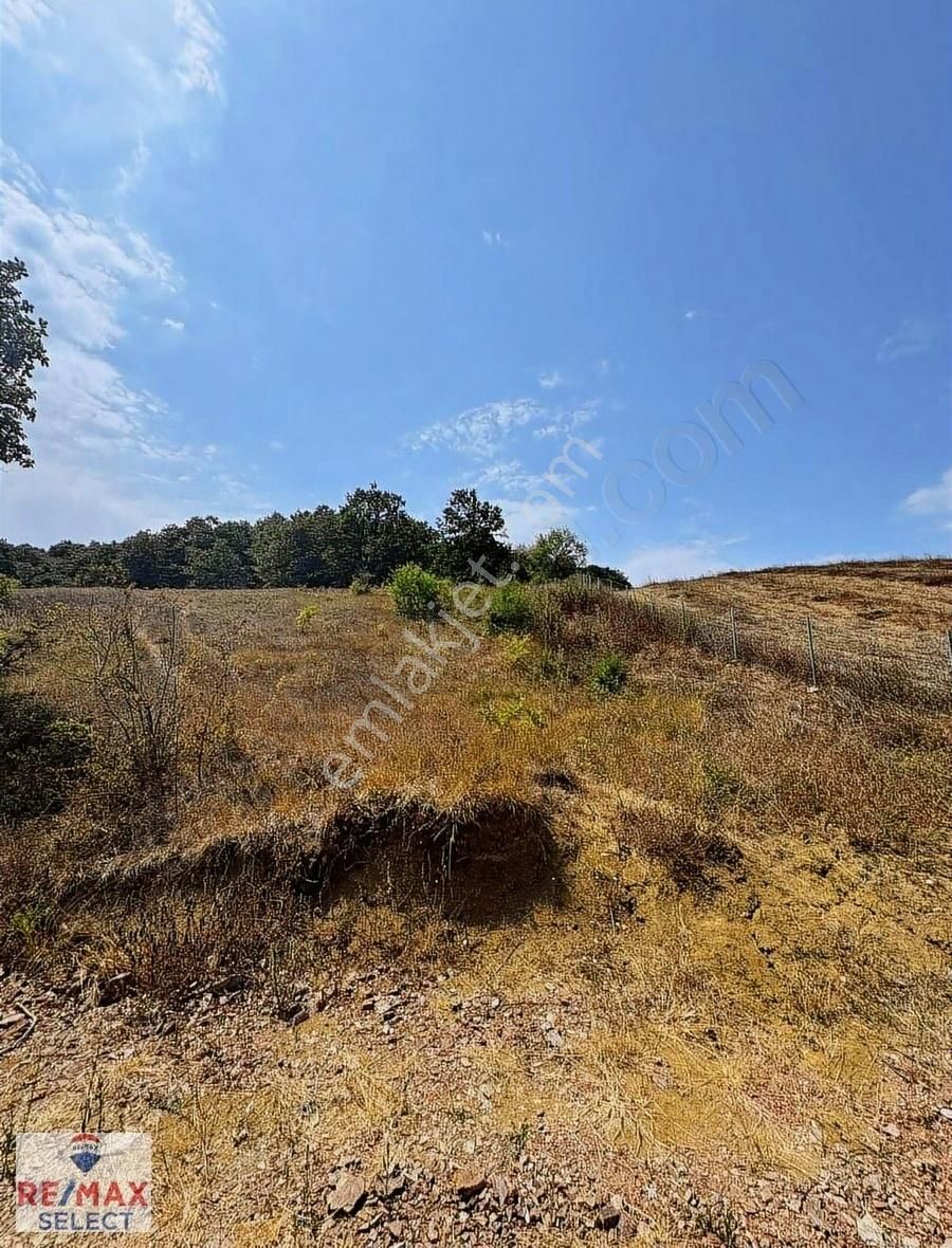 Remax Ozan Kocaeli Süverler 3.147 M2 Tarla - Görsel 2