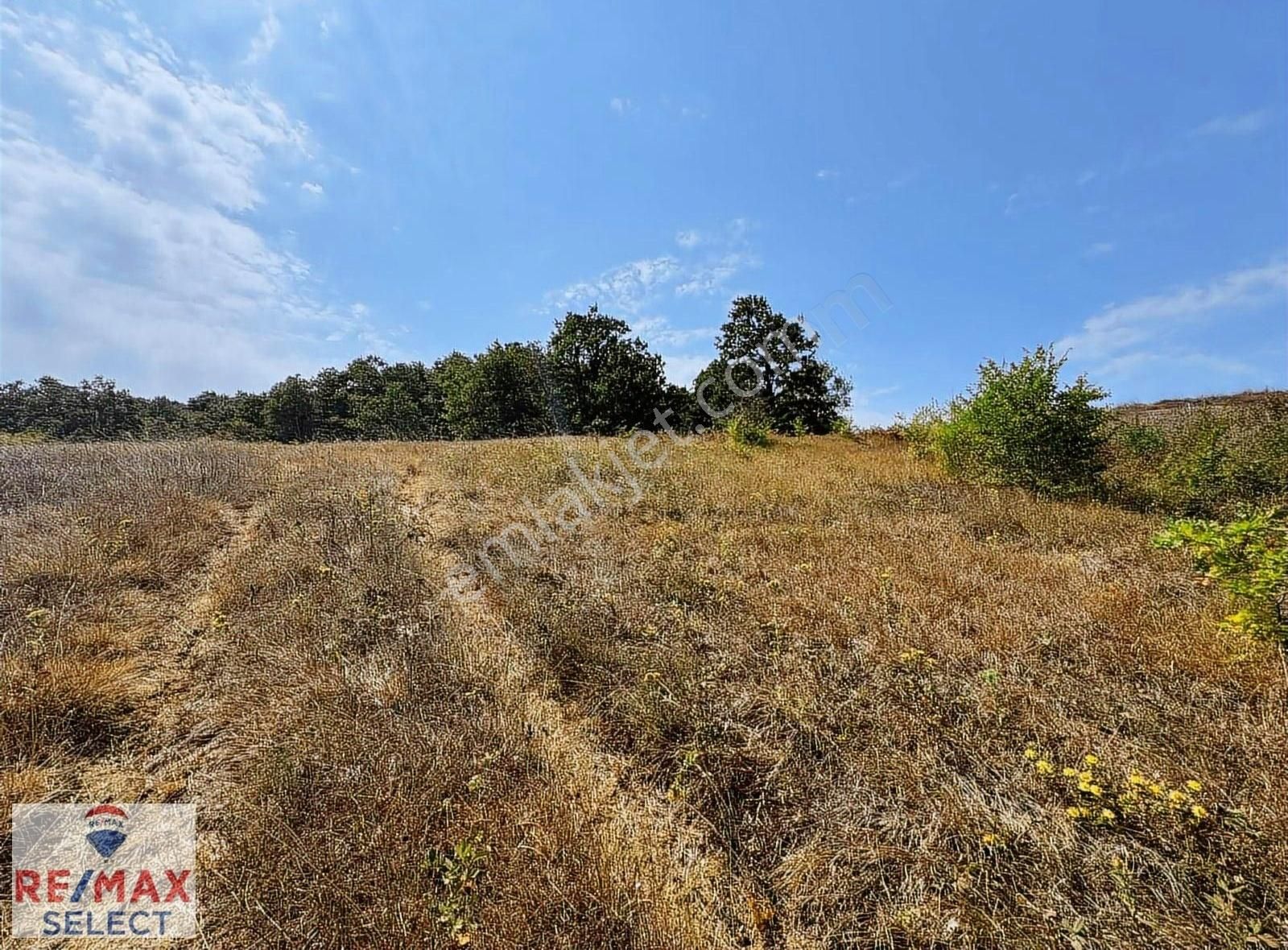 Remax Ozan Kocaeli Süverler 3.147 M2 Tarla - Görsel 4