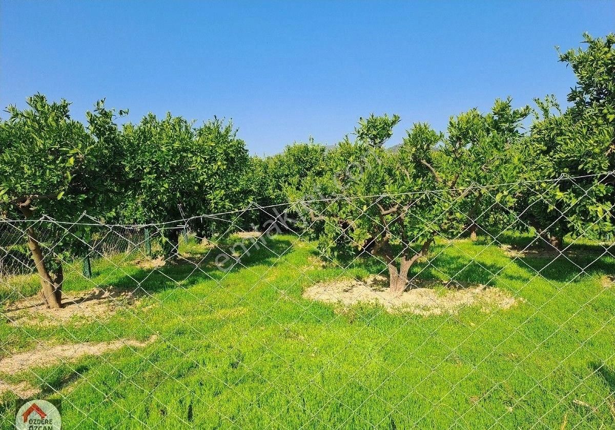 Özdere'de Tek Tapu Tarla