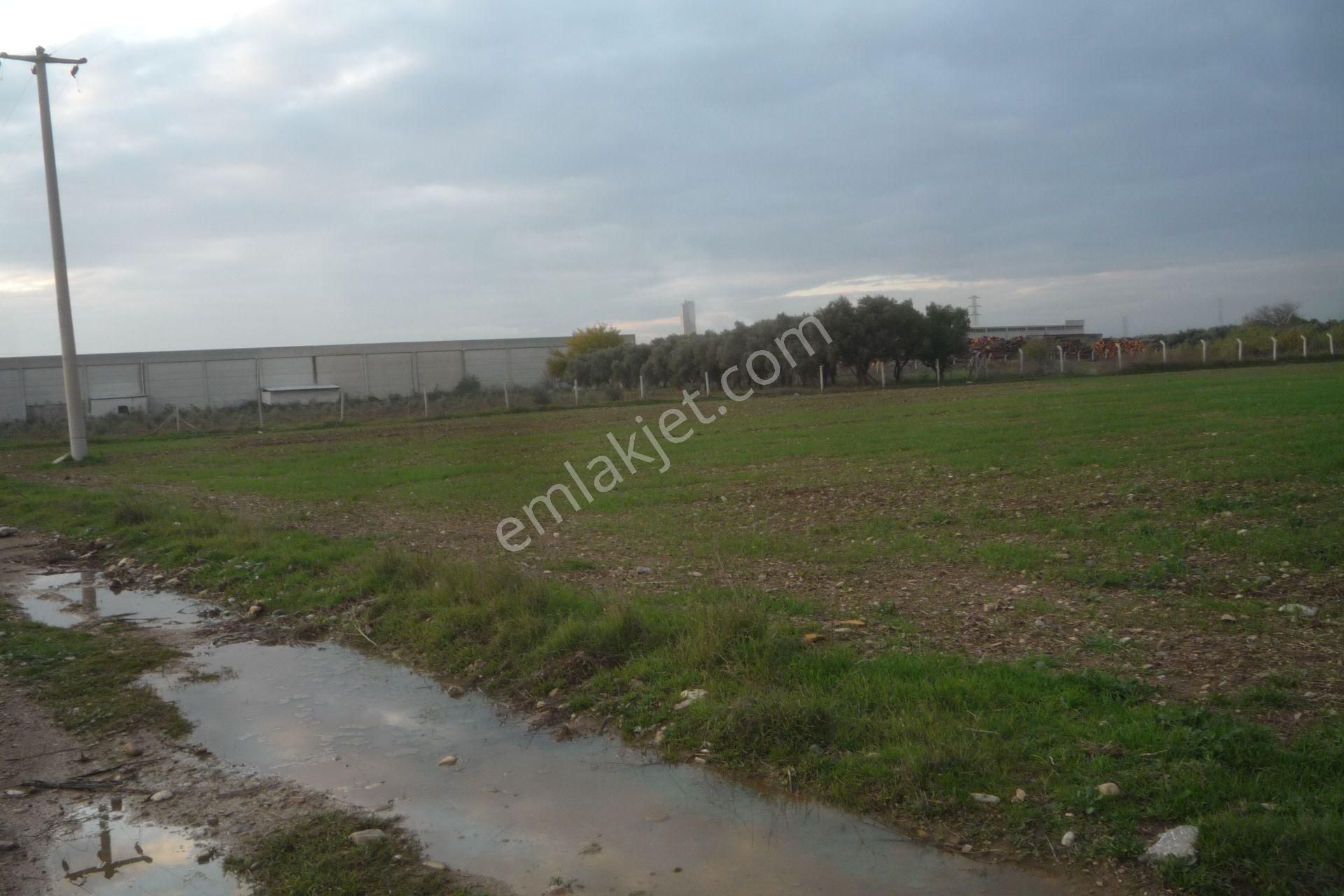 İzmir Torbalı Gold Emlaktan Satılık Tarla - Görsel 5