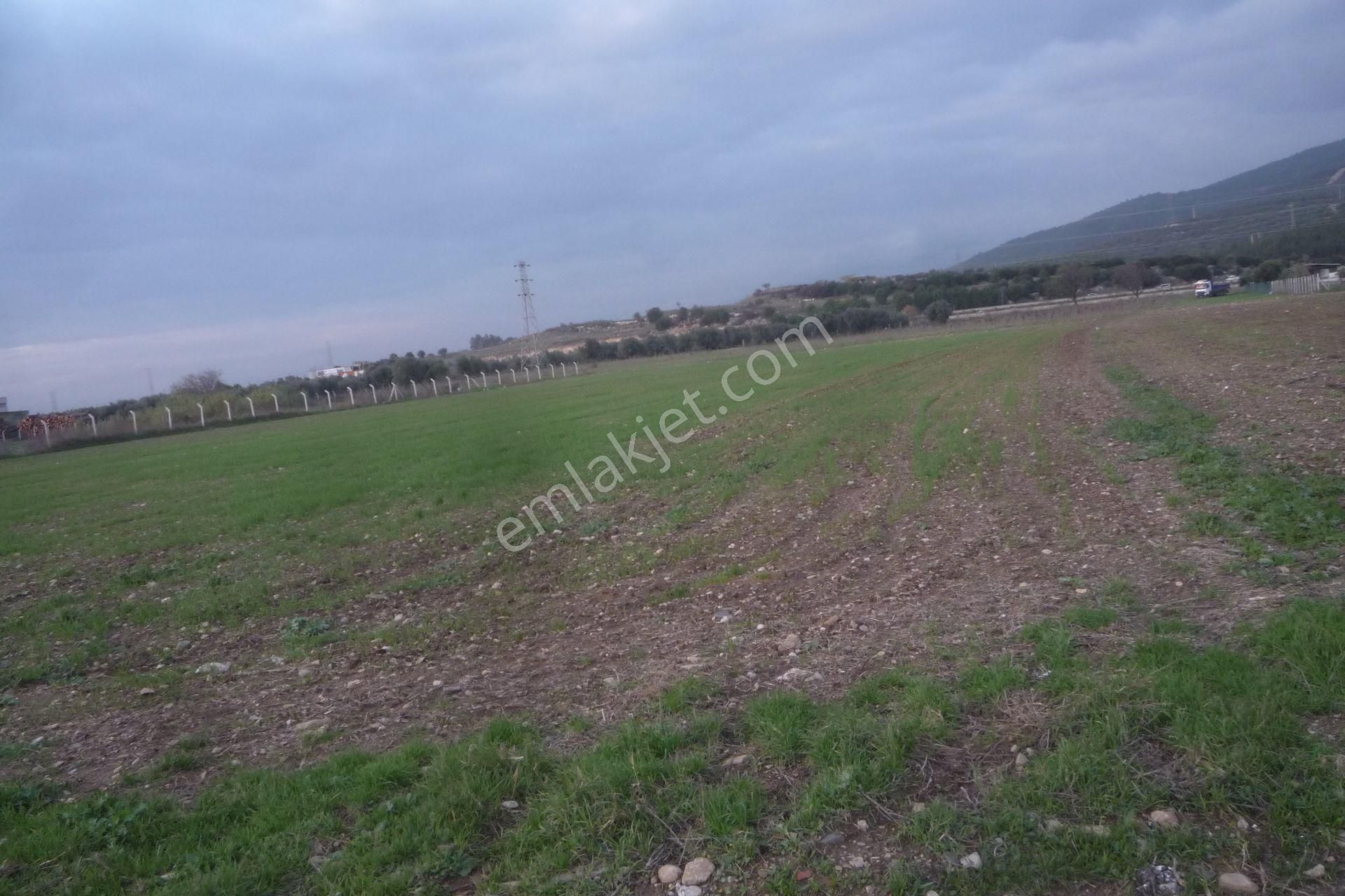 İzmir Torbalı Gold Emlaktan Satılık Tarla - Görsel 4