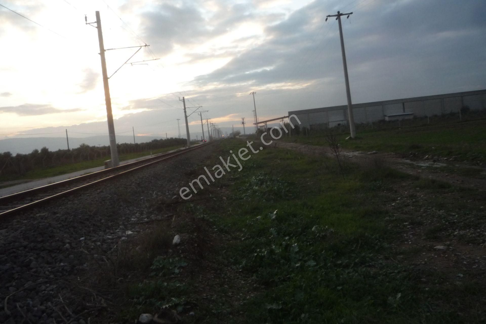 İzmir Torbalı Gold Emlaktan Satılık Tarla - Görsel 3