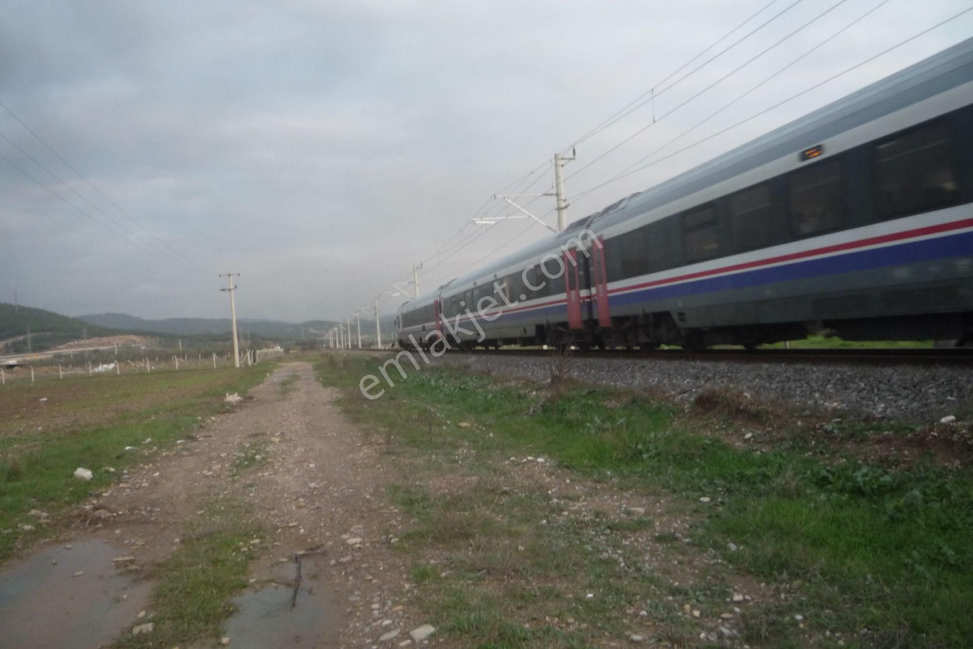 İzmir Torbalı Gold Emlaktan Satılık Tarla - Görsel 9