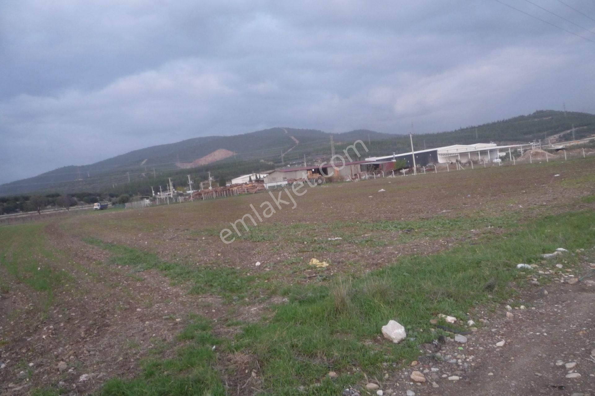 İzmir Torbalı Gold Emlaktan Satılık Tarla - Görsel 7