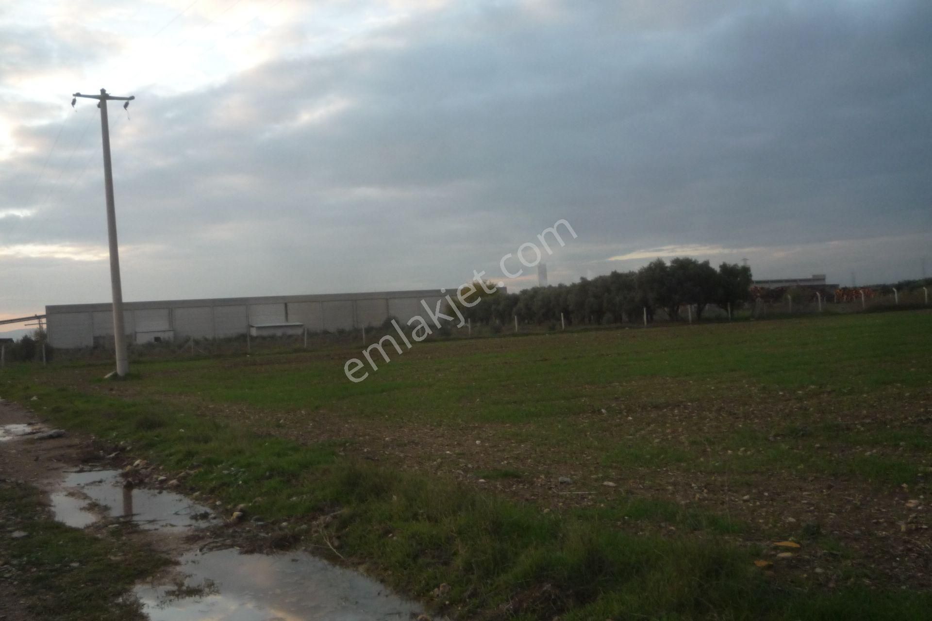 İzmir Torbalı Gold Emlaktan Satılık Tarla - Görsel 8