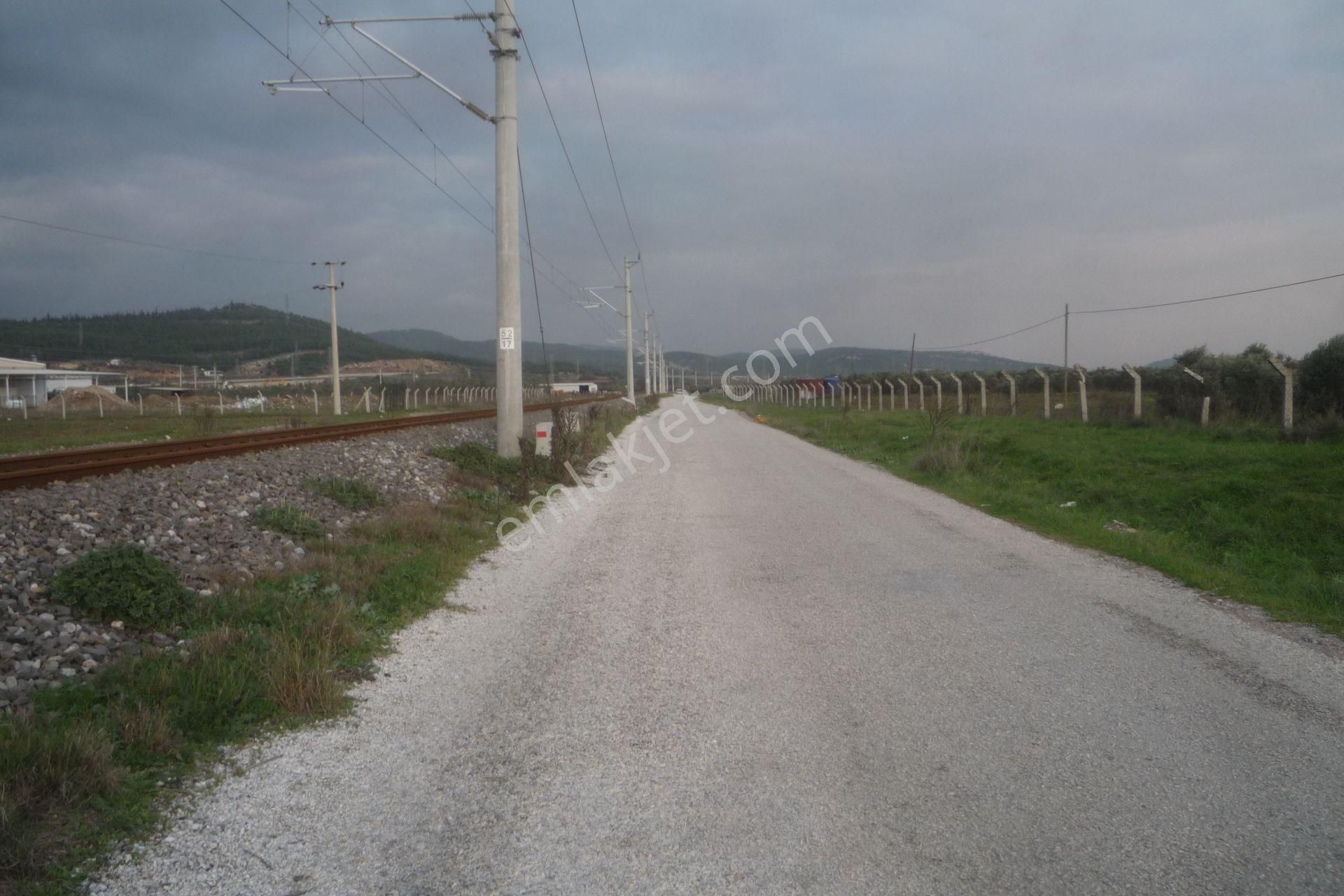 İzmir Torbalı Gold Emlaktan Satılık Tarla - Görsel 2