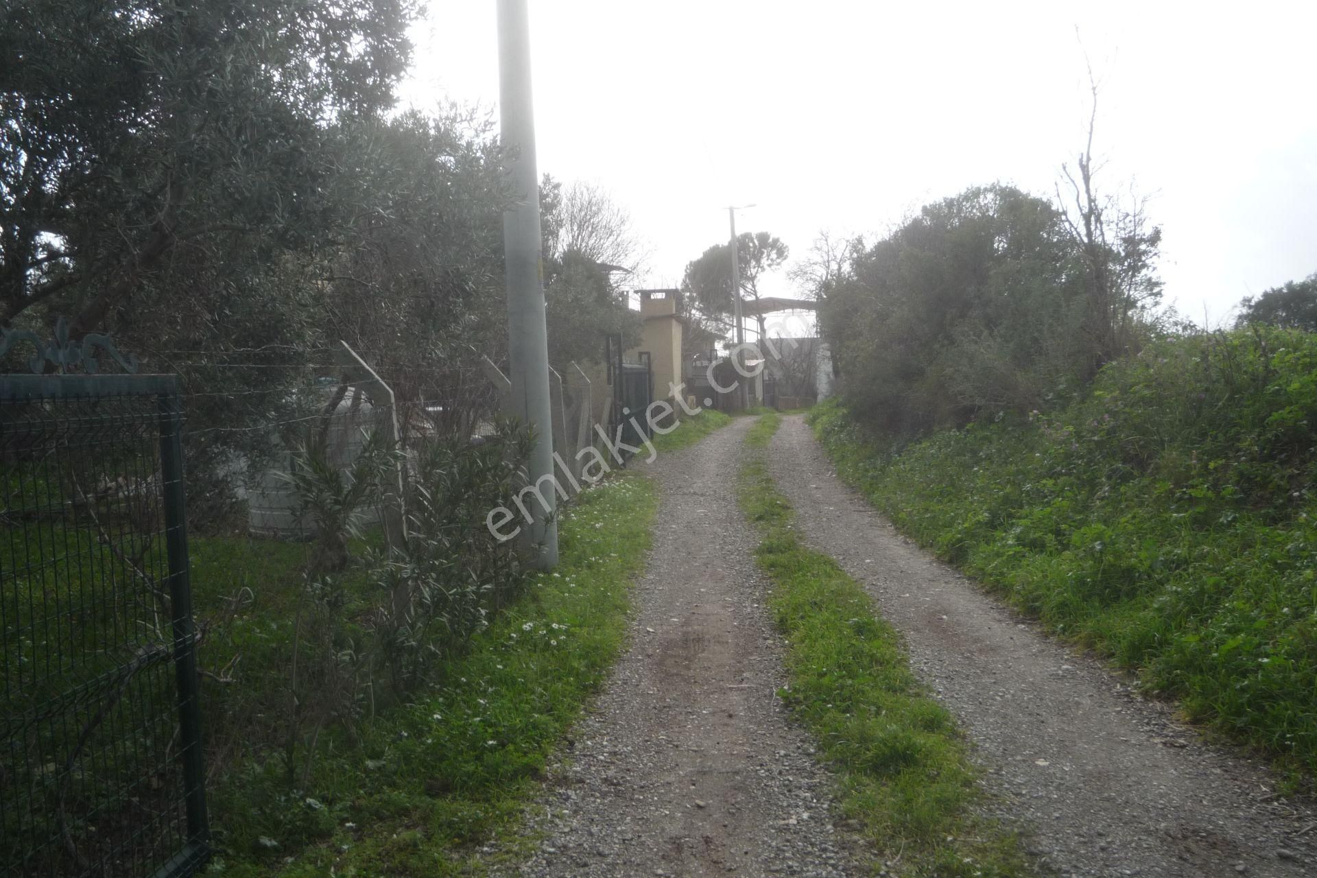 İzmir Torbalı Gold Emlaktan Satılık Bahçe - Görsel 2