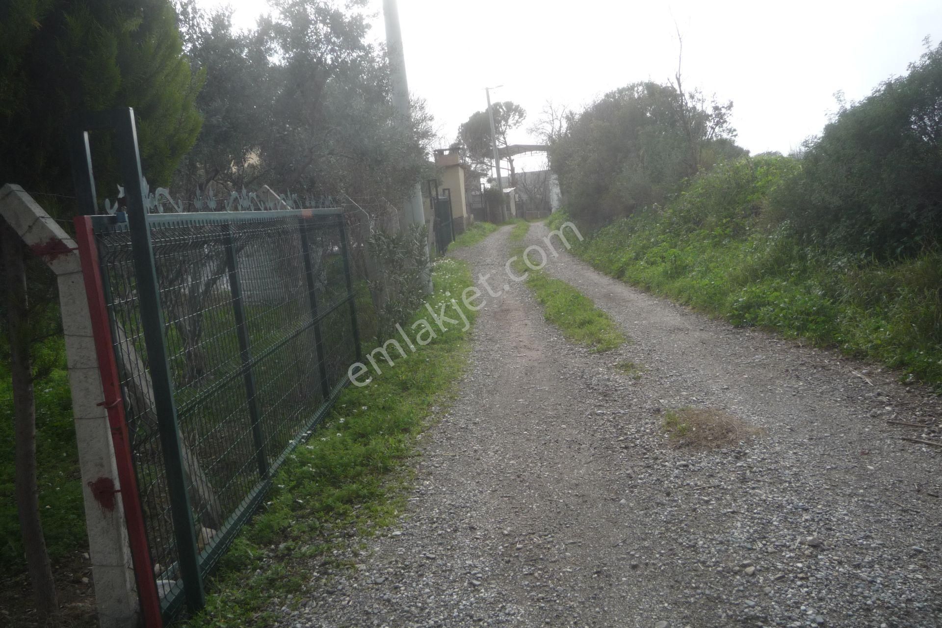 İzmir Torbalı Gold Emlaktan Satılık Harika Bahçe