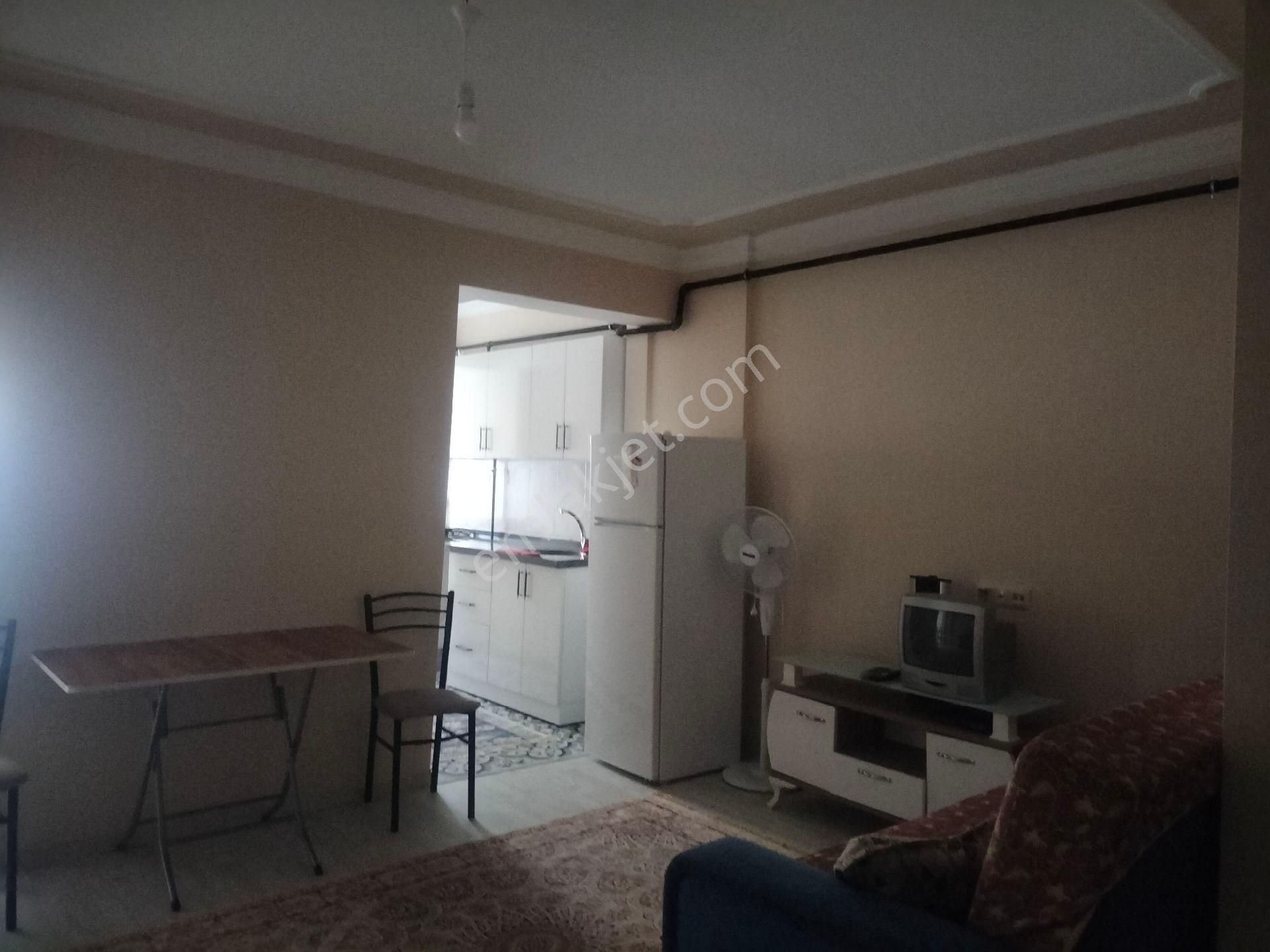 Aydın Efeler Köprülü Mahallesi'nde 1+1 Eşyalı Kiralık Daire - Görsel 9