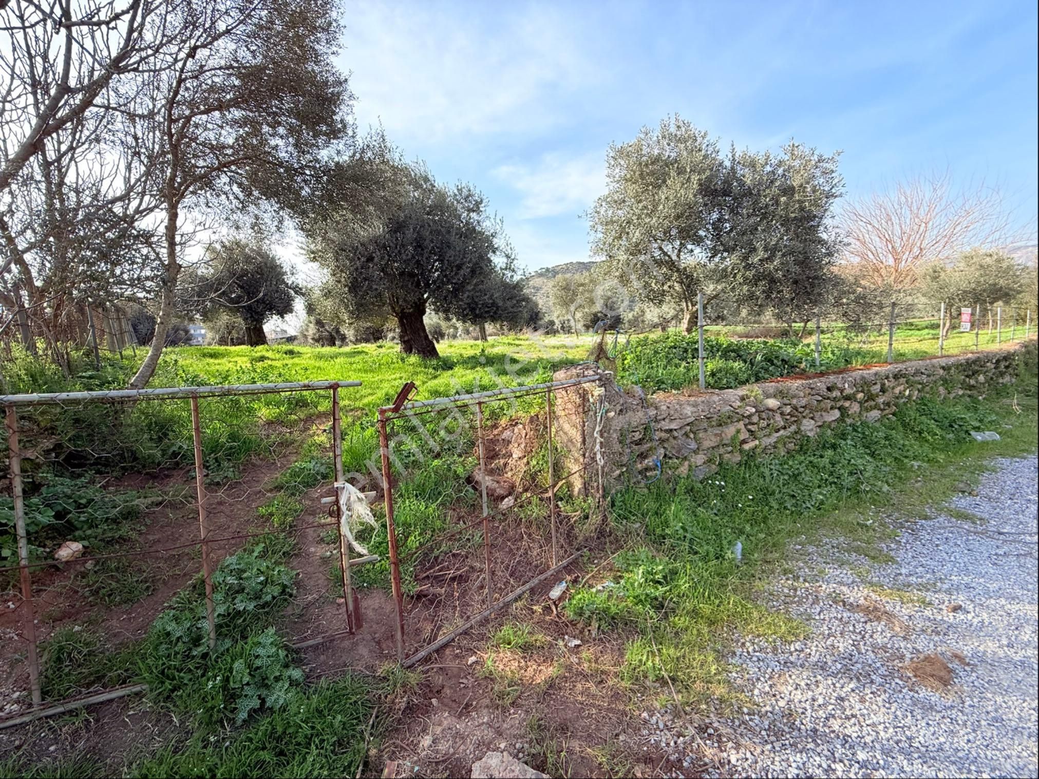 Sahibinden İmar İçinde Bodrum Yoluna 100 Metre Emsali Yok - Görsel 3