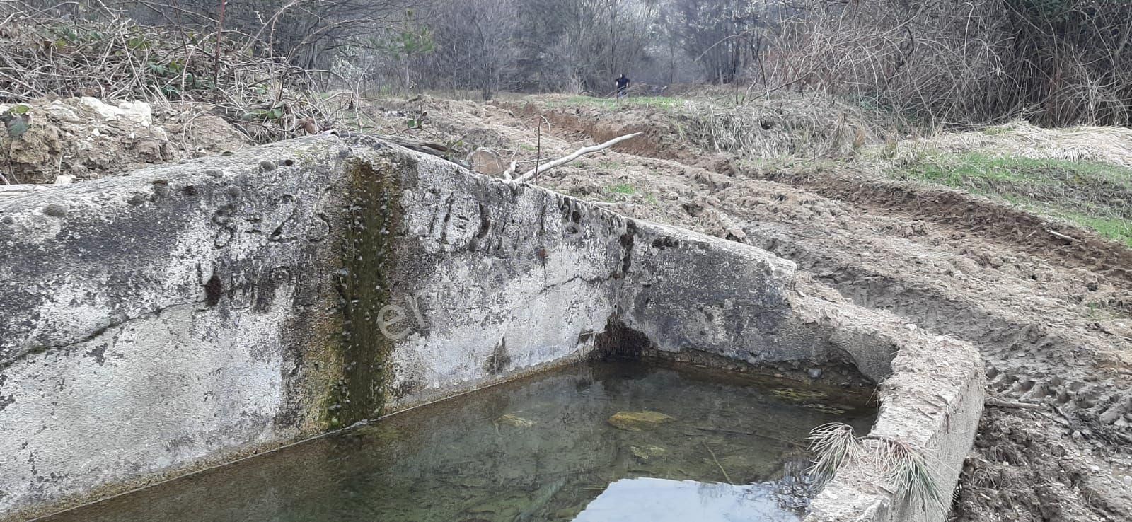 Uysal Emlak Tan Satılık Harika Tarla - Görsel 8