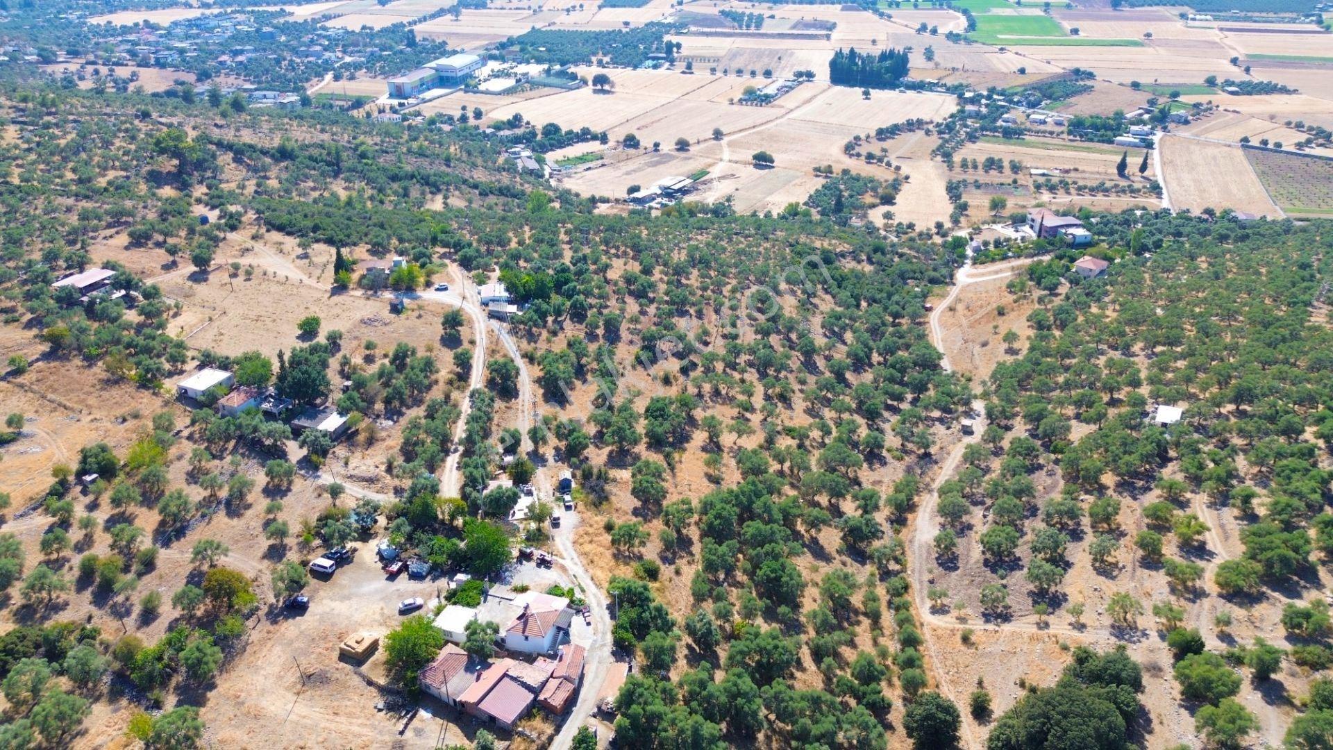 Milas Menteş'te Yerleşim Alanı İçerisinde 2069 M² Satılık Arazi - Görsel 7