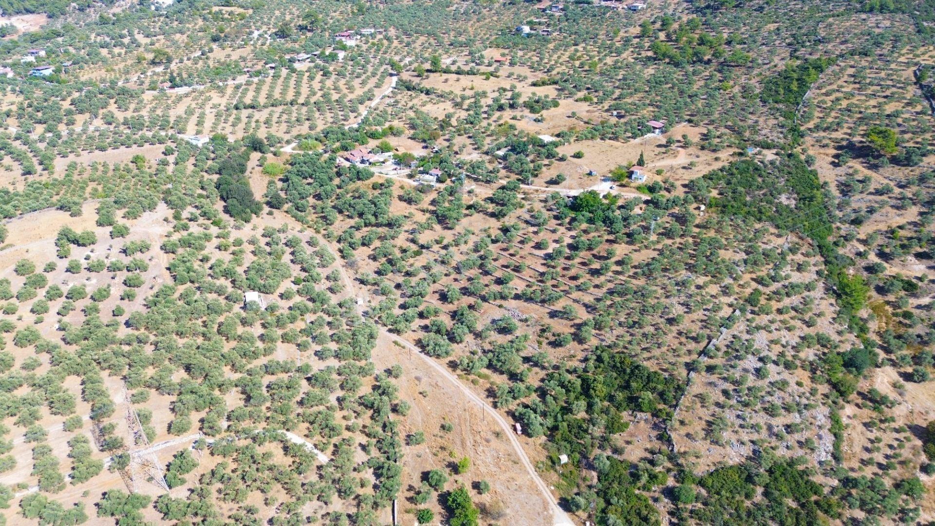 Milas Menteş'te Yerleşim Alanı İçerisinde 2069 M² Satılık Arazi - Görsel 13