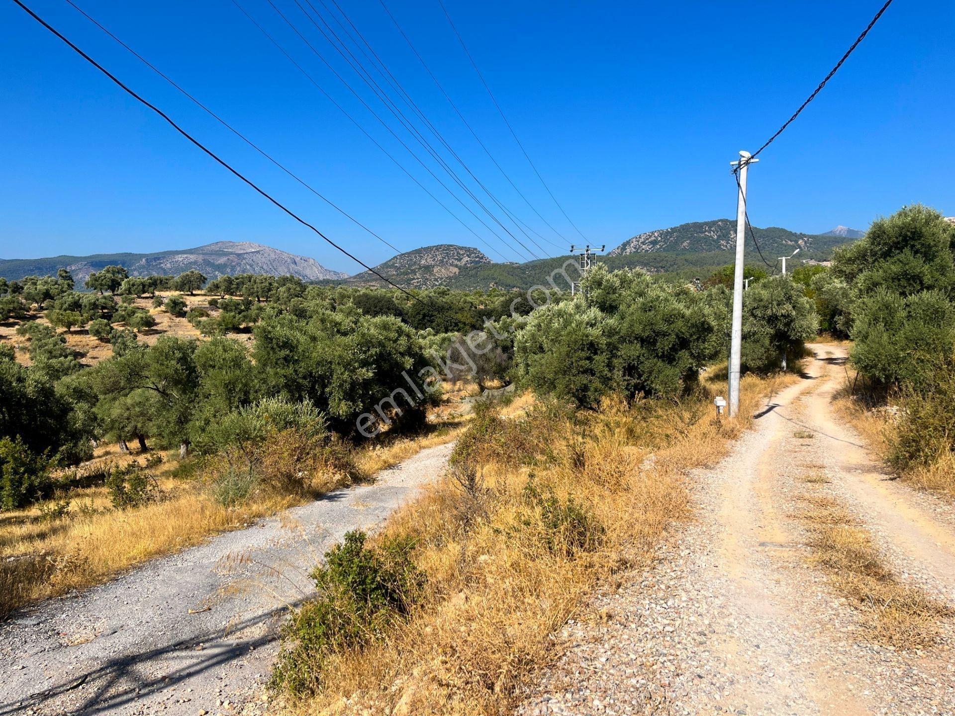 Milas Menteş'te Yerleşim Alanı İçerisinde 2069 M² Satılık Arazi - Görsel 15