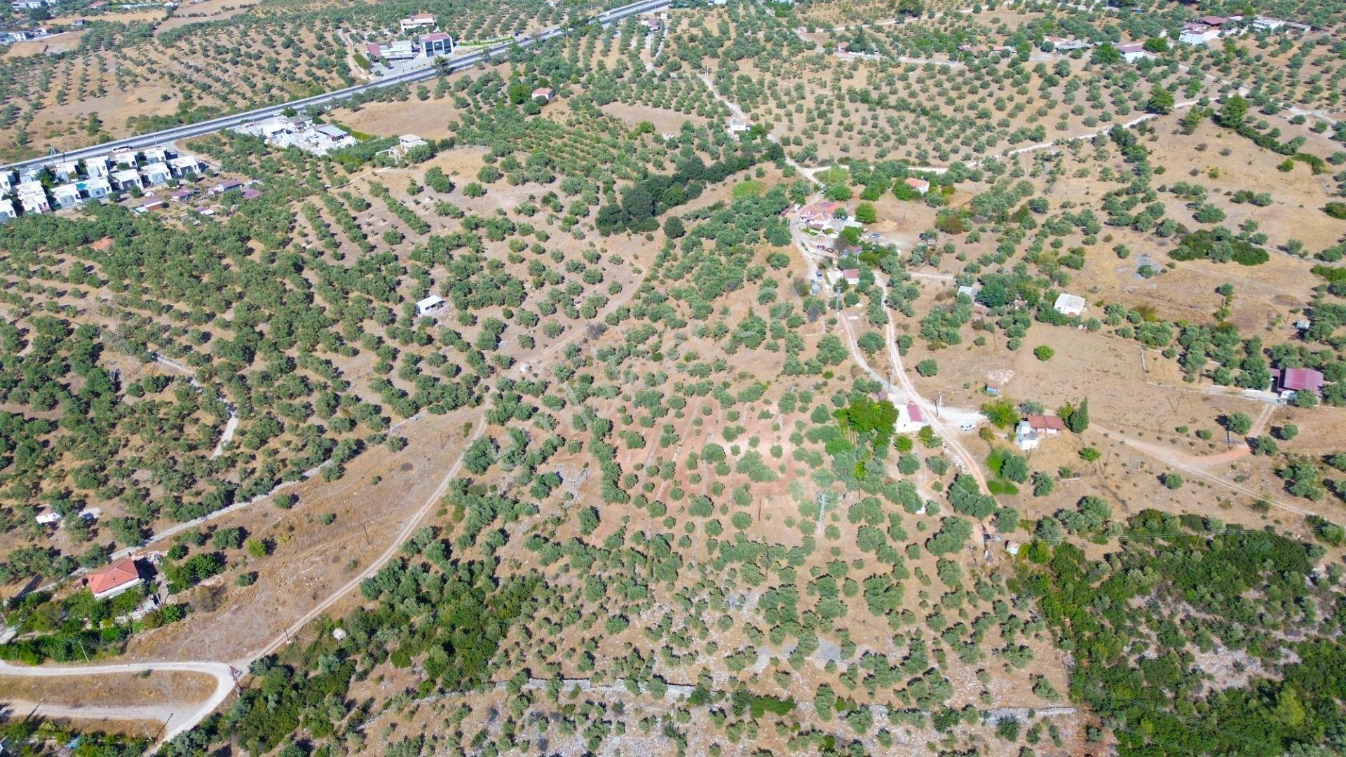 Milas Menteş'te Yerleşim Alanı İçerisinde 2069 M² Satılık Arazi - Görsel 5