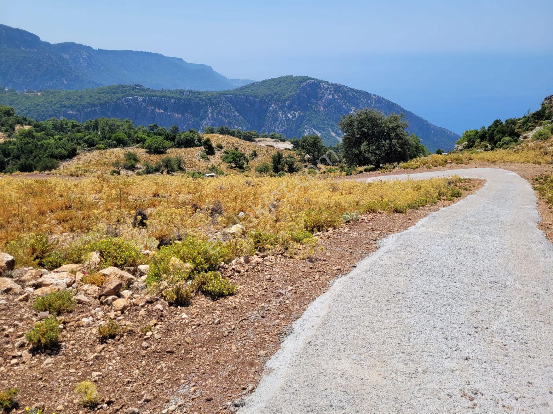 Goldhouse Dan Satılık Karaağaç Kozağacı Nda Deniz Manzaralı Tarla - Görsel 3
