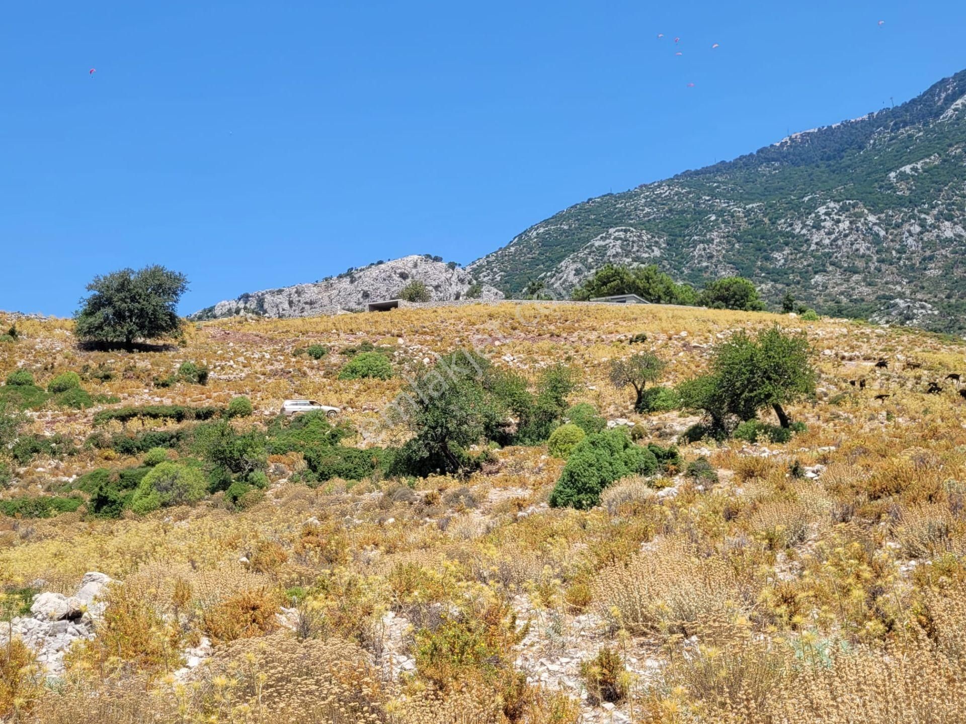 Goldhouse Dan Satılık Karaağaç Kozağacı Nda Deniz Manzaralı Tarla - Görsel 4