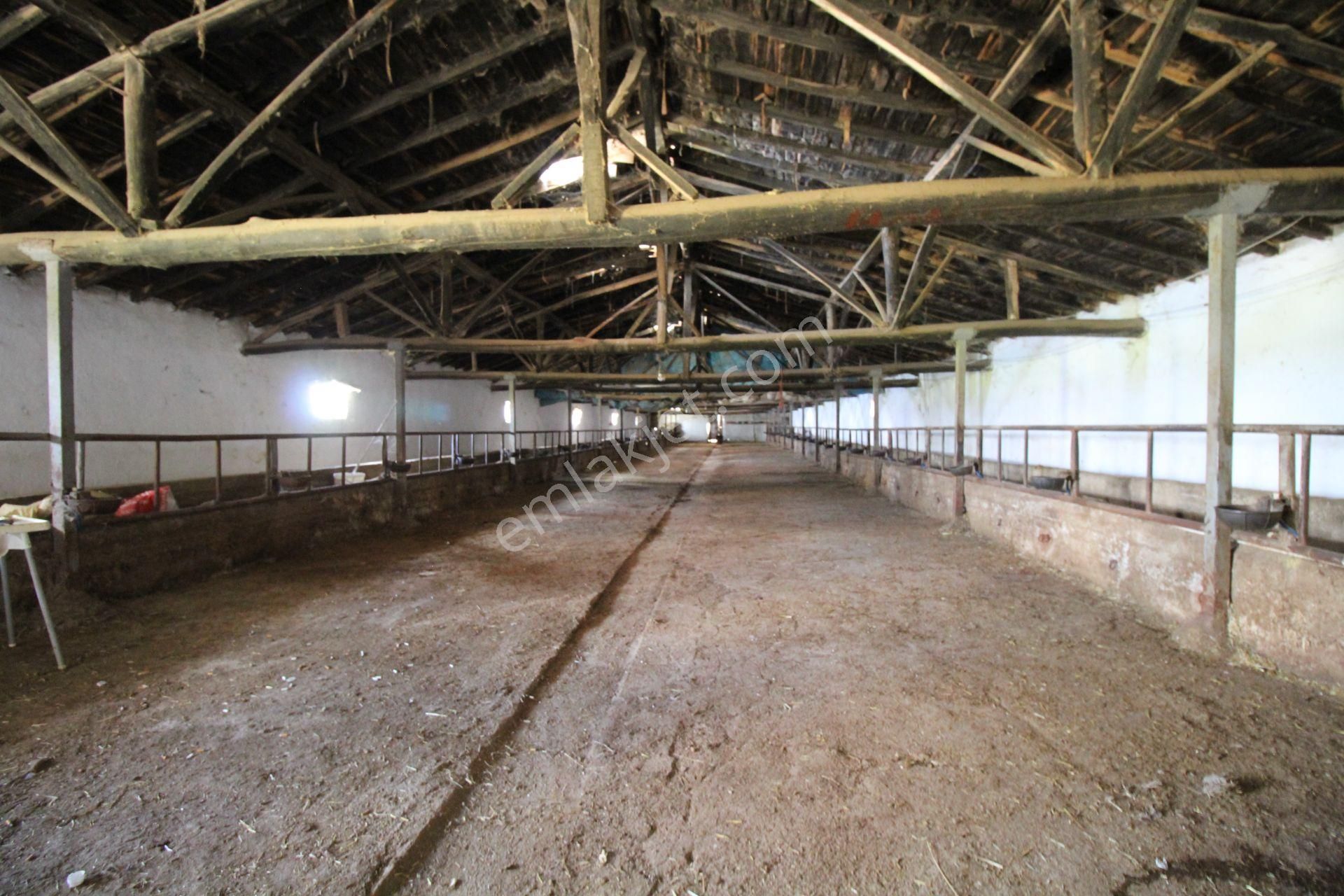 Aksaray Topakkayada Satılık Çiftlik - Görsel 35