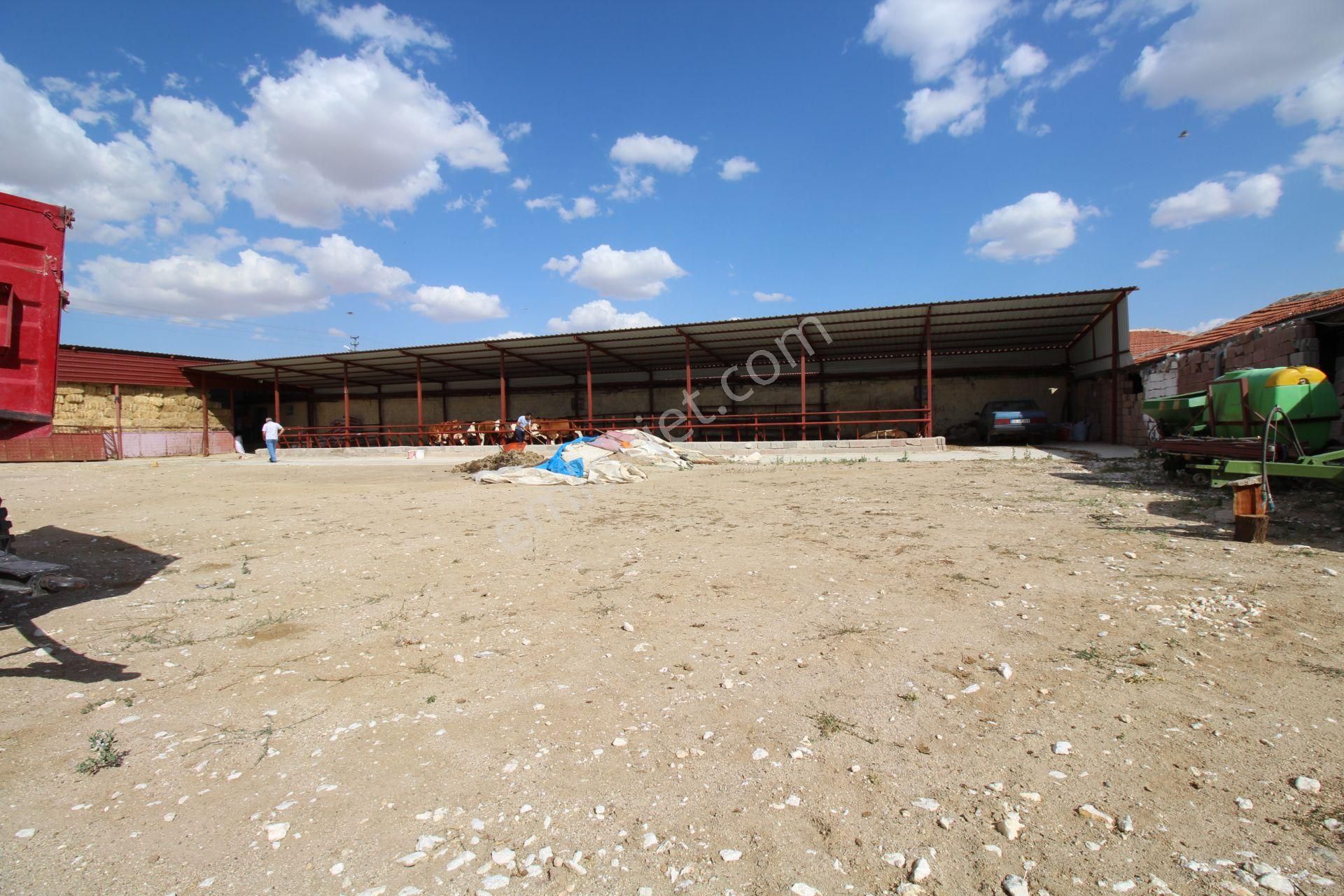 Aksaray Topakkayada Satılık Çiftlik - Görsel 33