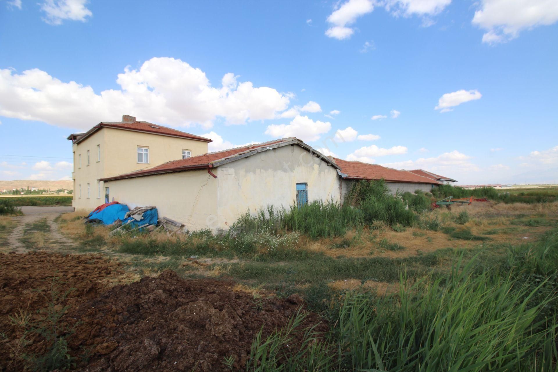 Aksaray Topakkayada Satılık Çiftlik - Görsel 14