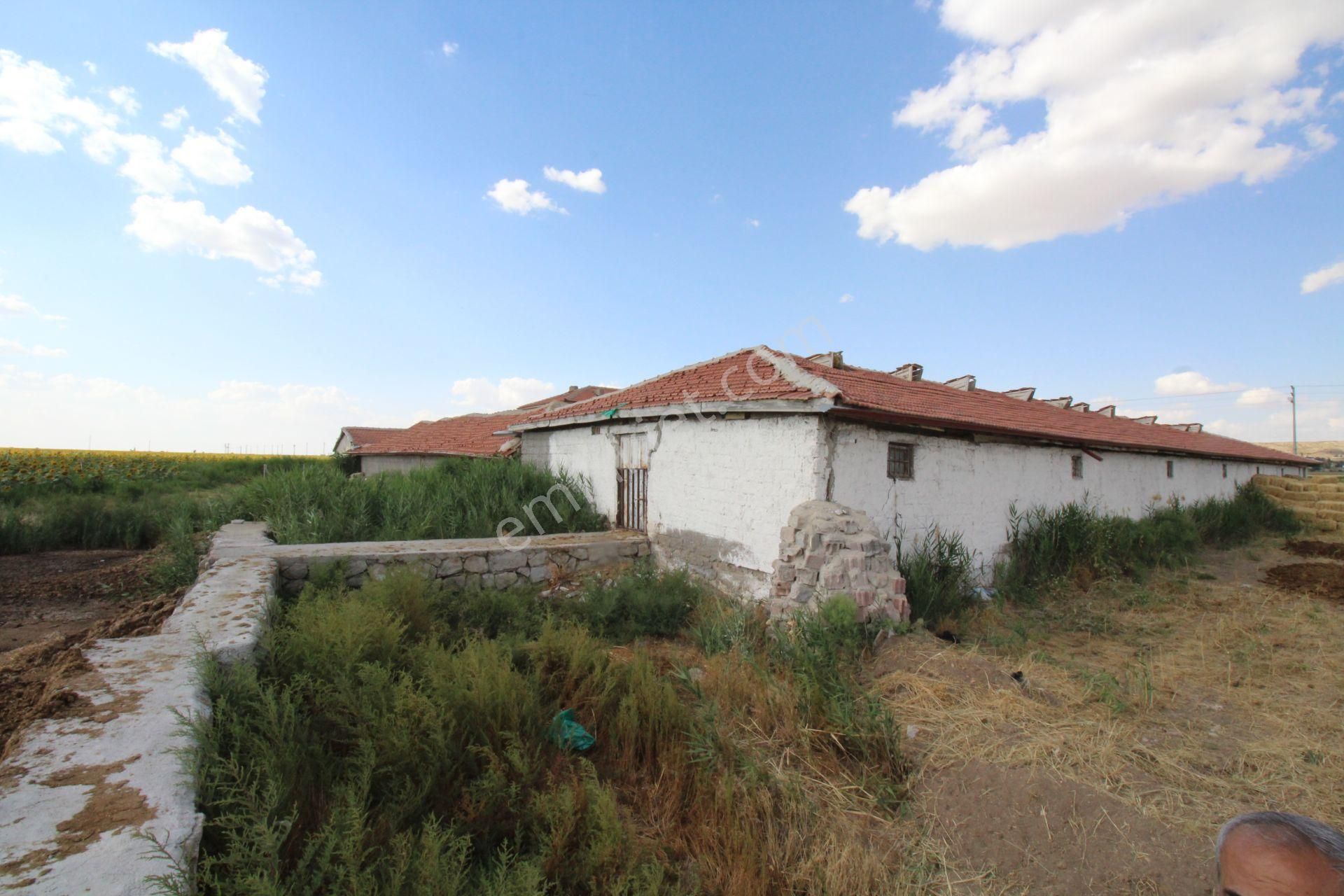 Aksaray Topakkayada Satılık Çiftlik - Görsel 21