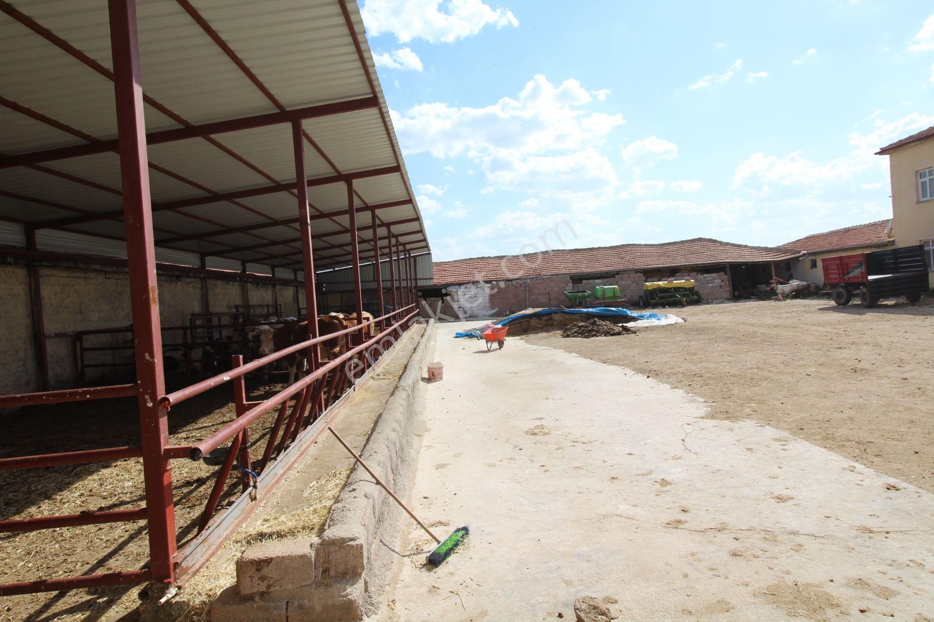 Aksaray Topakkayada Satılık Çiftlik - Görsel 16