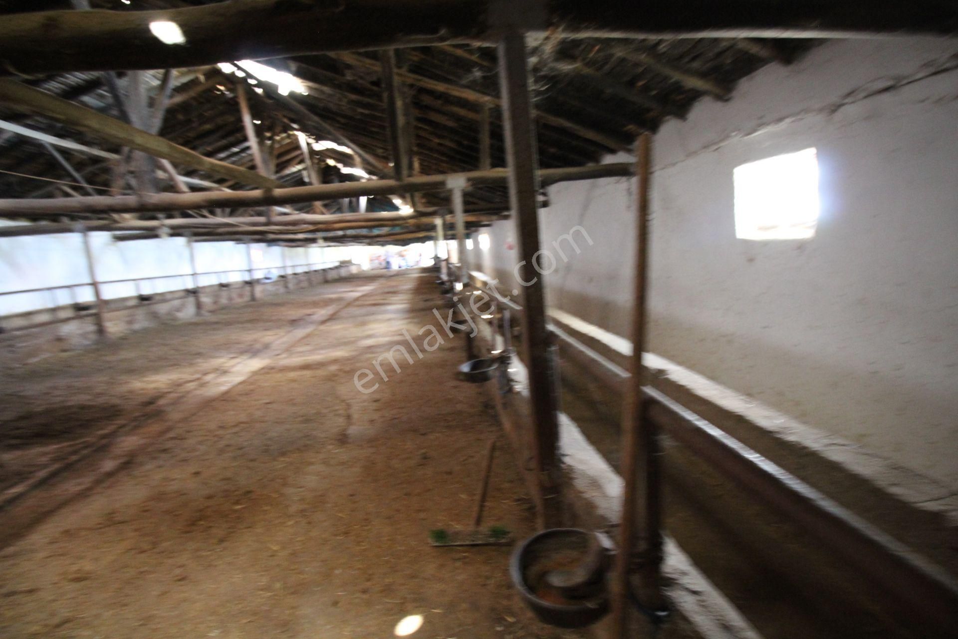 Aksaray Topakkayada Satılık Çiftlik - Görsel 19