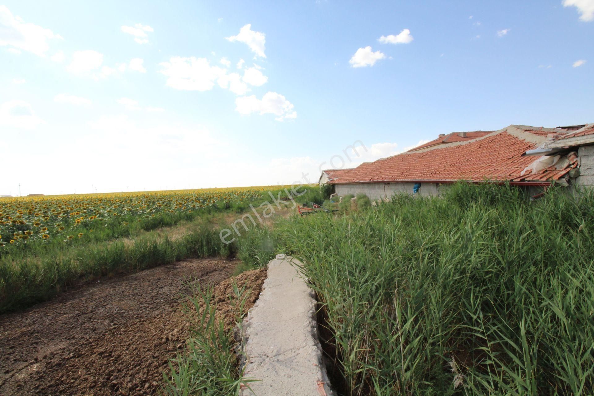 Aksaray Topakkayada Satılık Çiftlik - Görsel 2